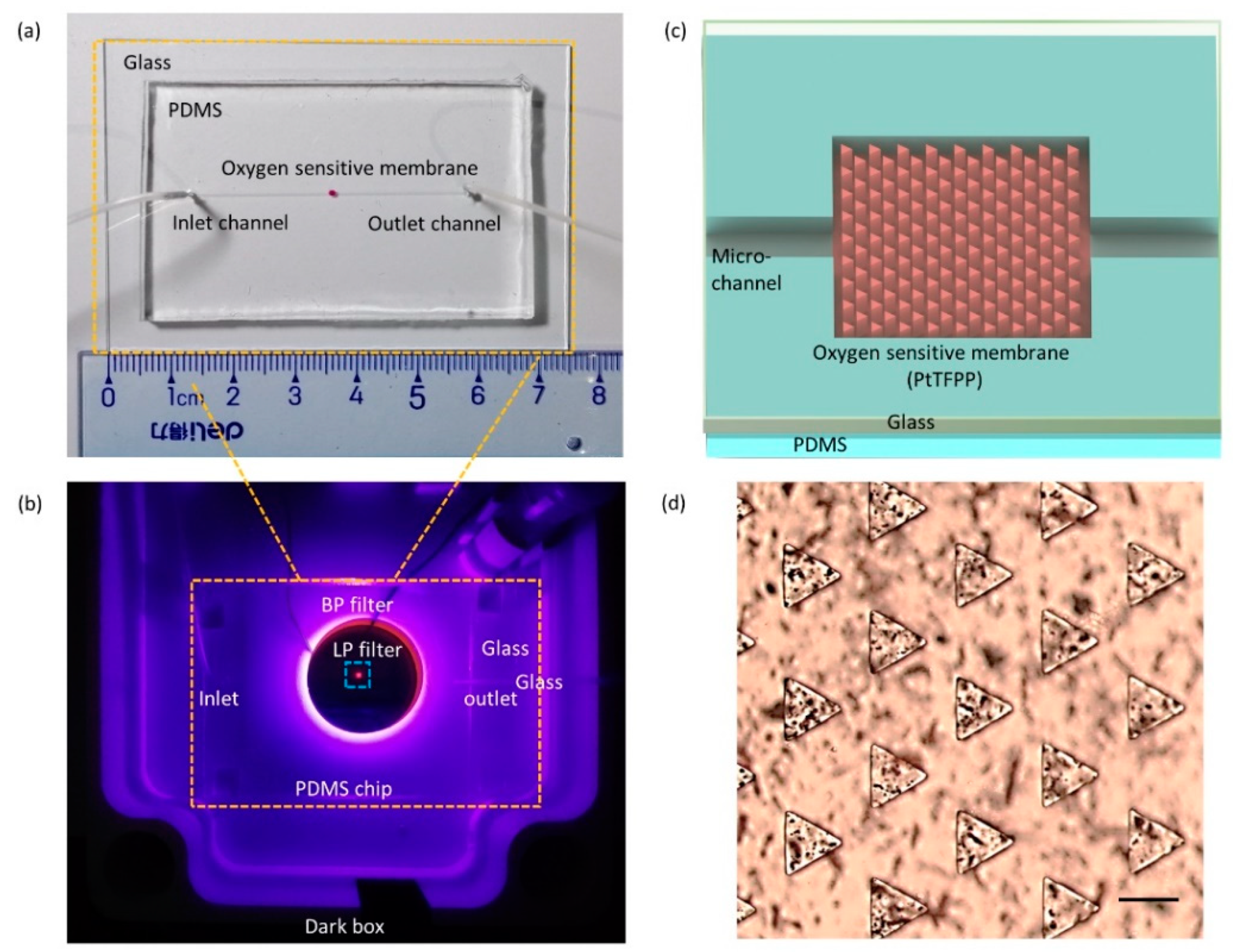 Micromachines 12 00281 g002 Micromachines 12 00281 g002
