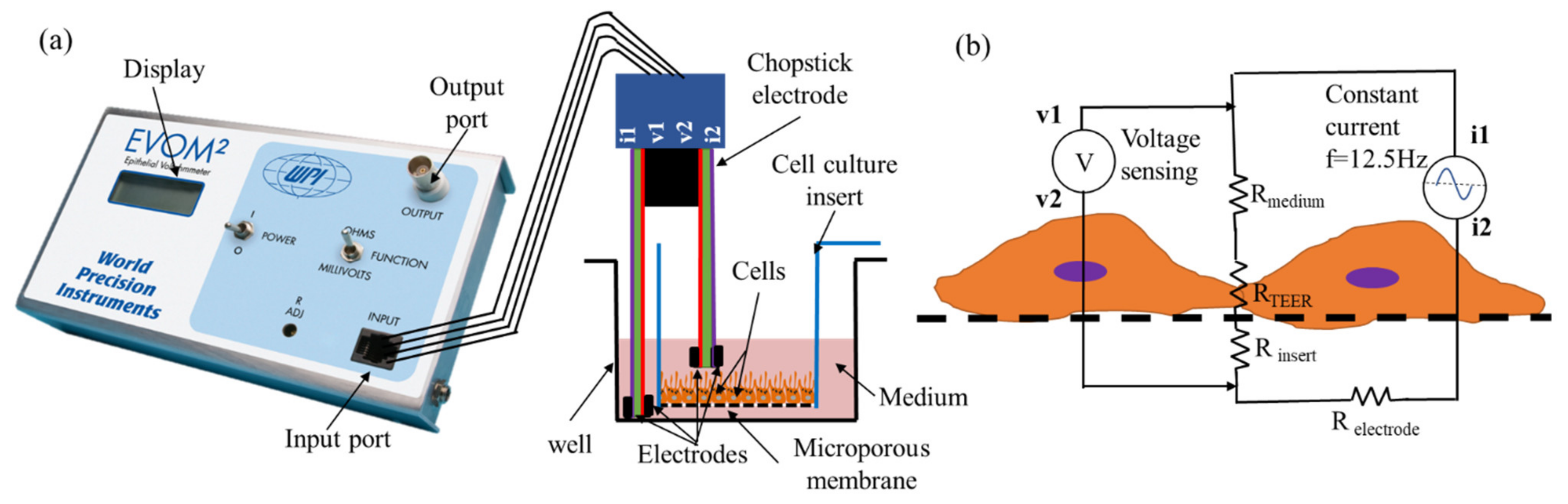 Micromachines | Free Full-Text | An Open-Source Add-On EVOM® Device for  Real-Time Transepithelial/Endothelial Electrical Resistance Measurements in  Multiple Transwell Samples