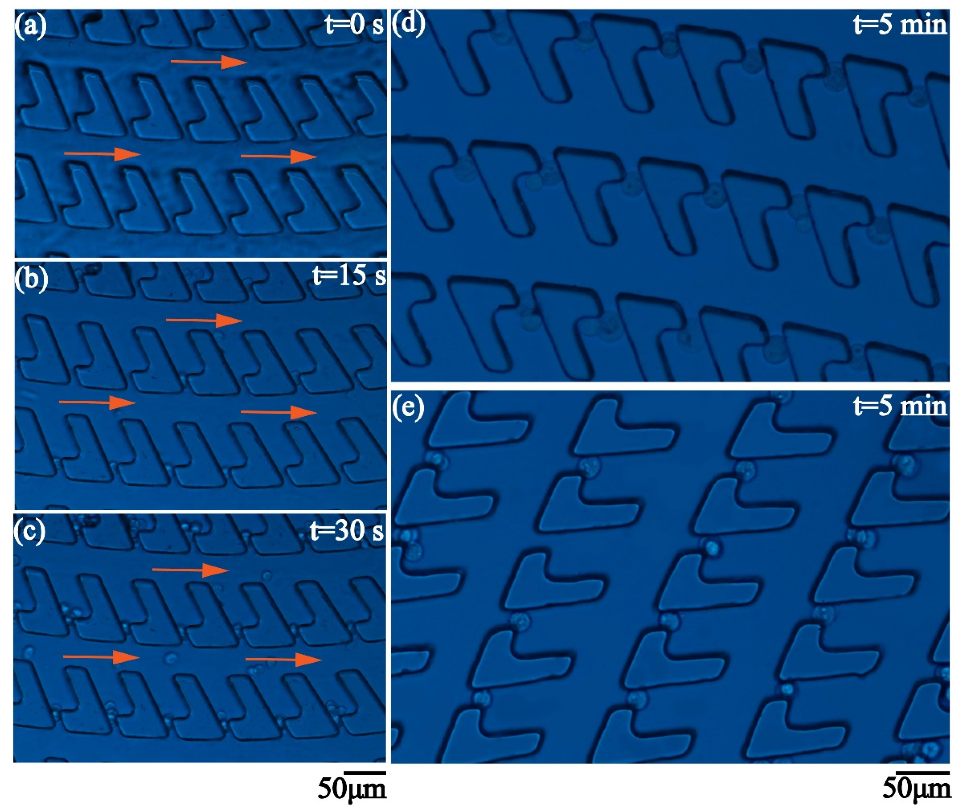 Micromachines 12 00288 g007 Micromachines 12 00288 g007