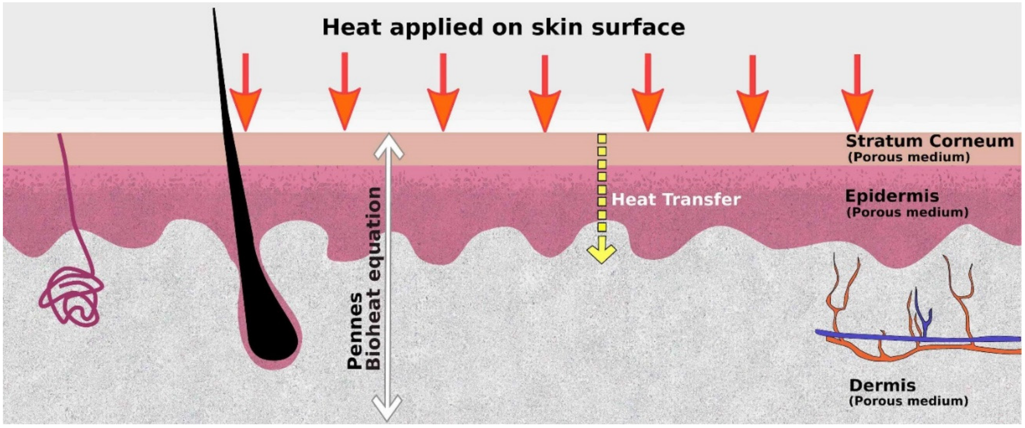 Micromachines Free Full Text Development Of Skin On A Chip Platforms For Different Utilizations Factors To Be Considered Html