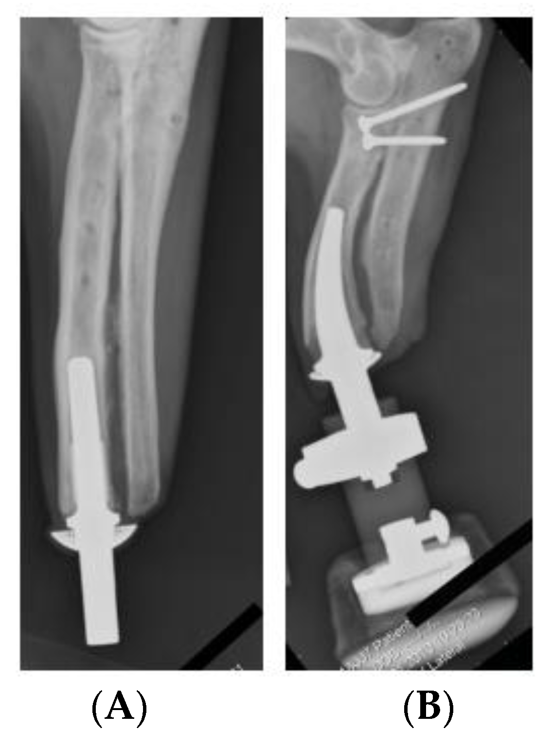 Micromachines 12 00298 g002