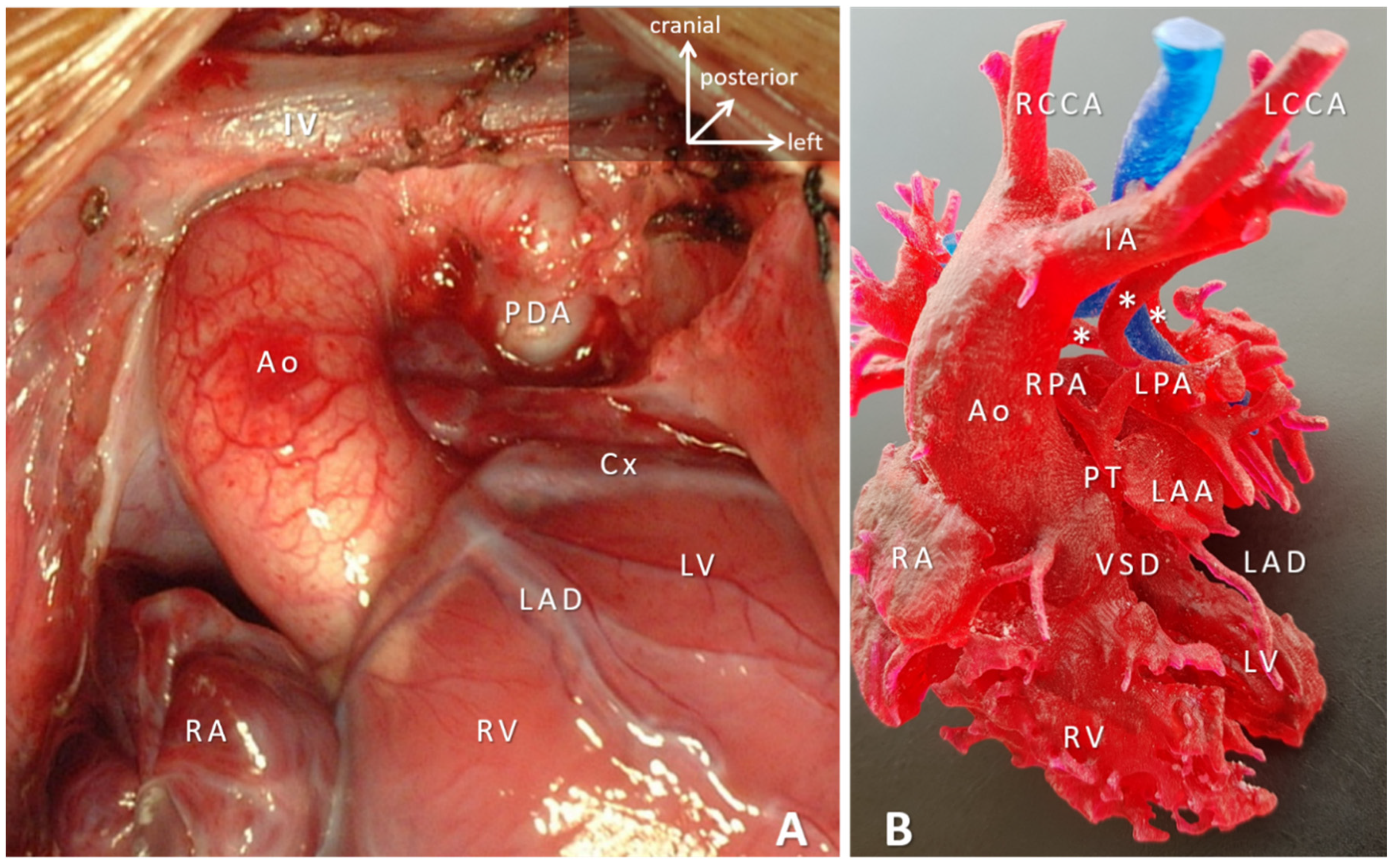 Micromachines 12 00332 g003