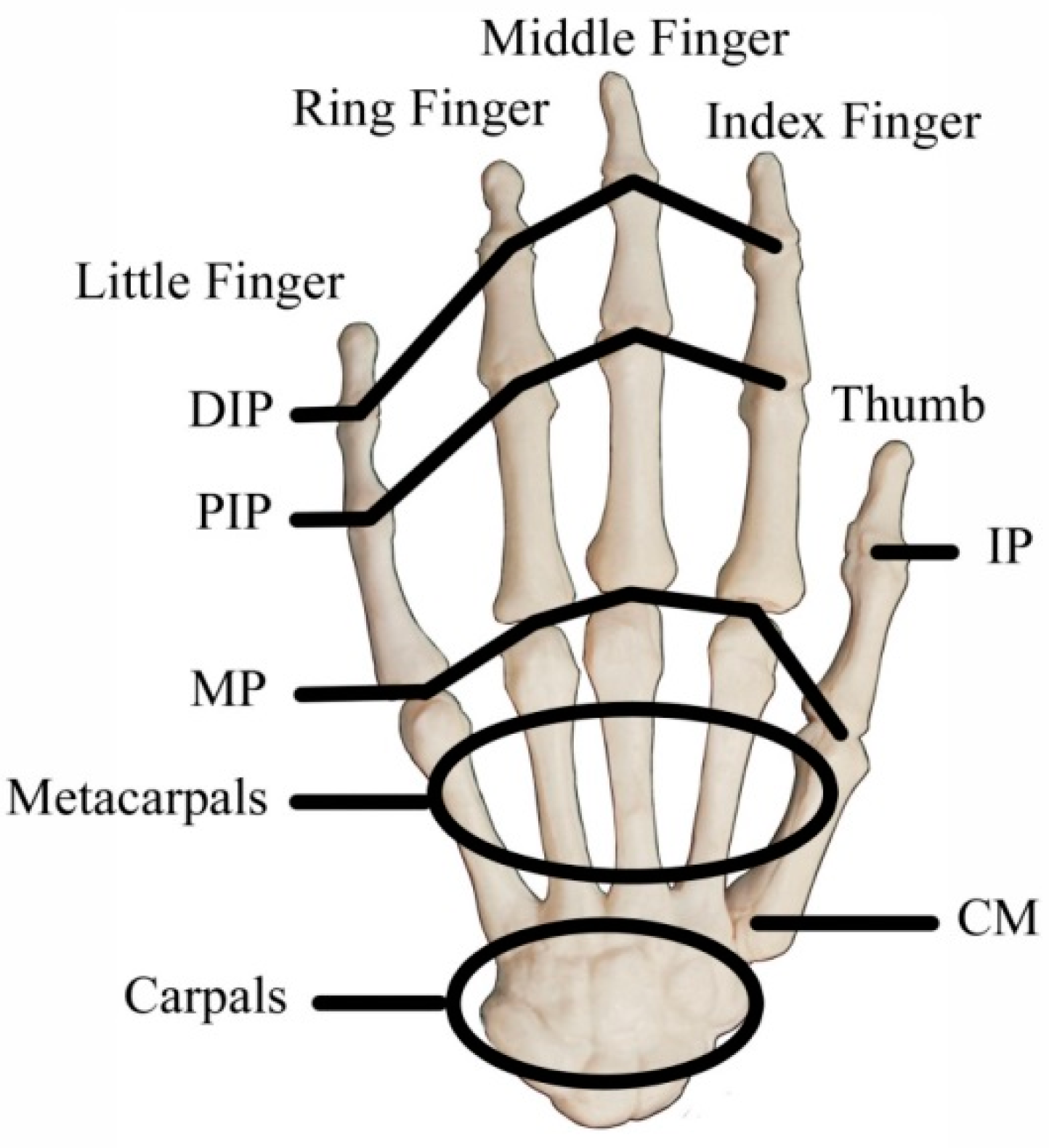 Micromachines 12 00362 g003 Micromachines 12 00362 g003