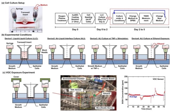 Micromachines Free Full Text Transwell Insert Embedded Microfluidic Devices For Time Lapse Monitoring Of Alveolar Epithelium Barrier Function Under Various Stimulations Html