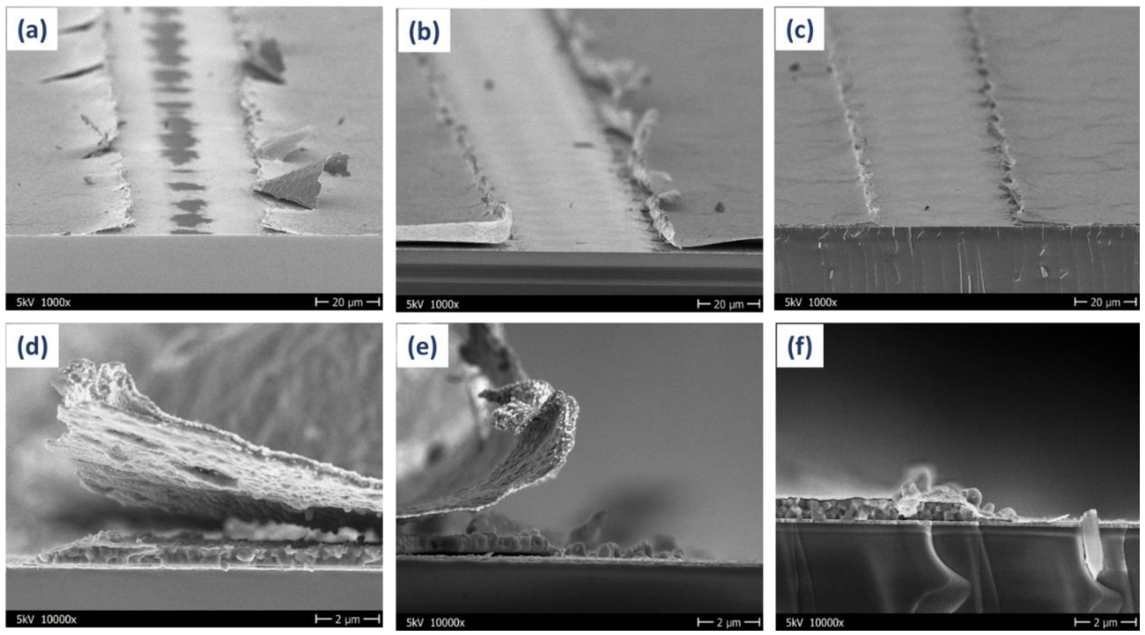 Micromachines 12 00423 g002