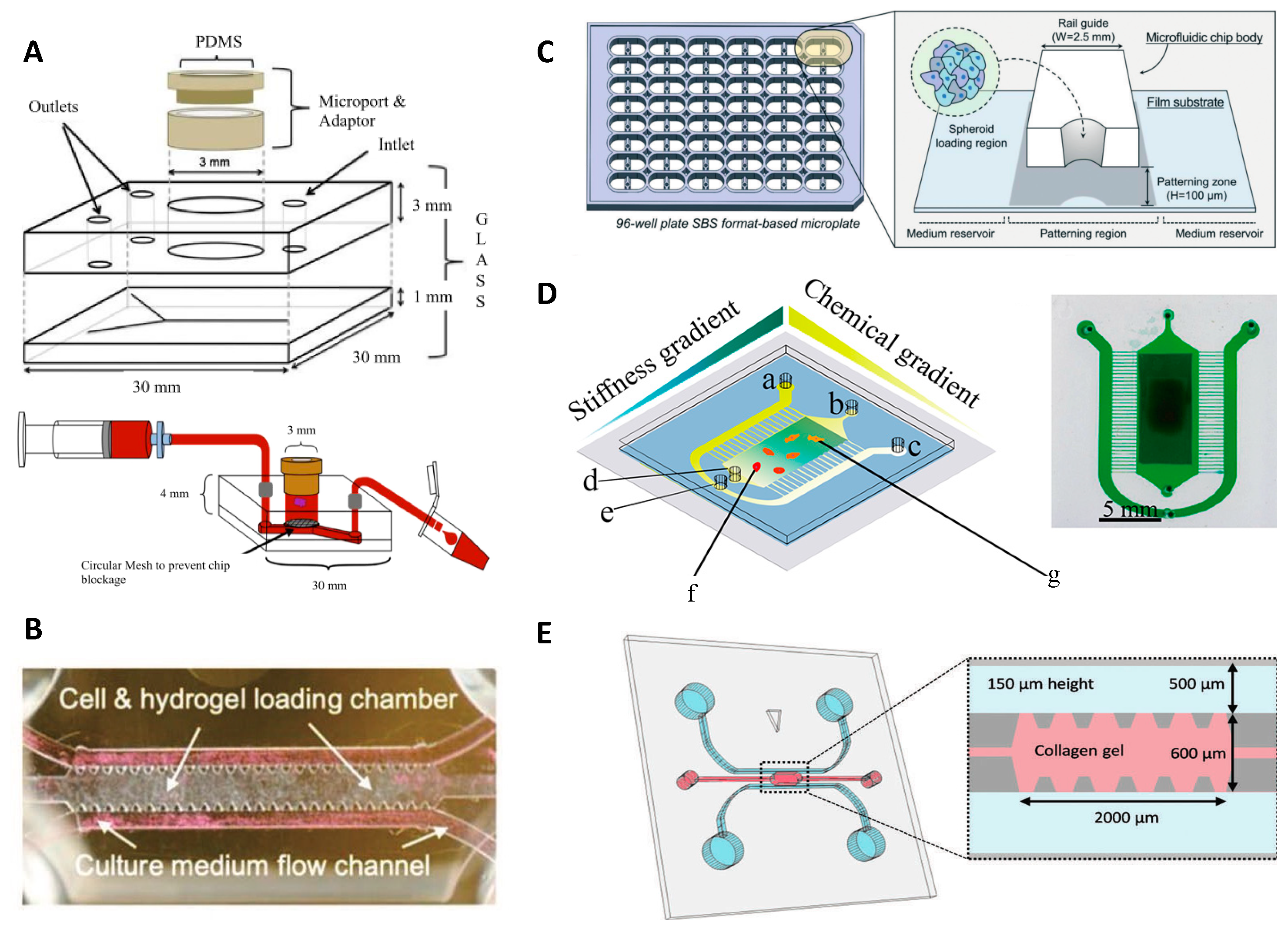 Micromachines | Free Full-Text | Glioma-on-a-Chip Models
