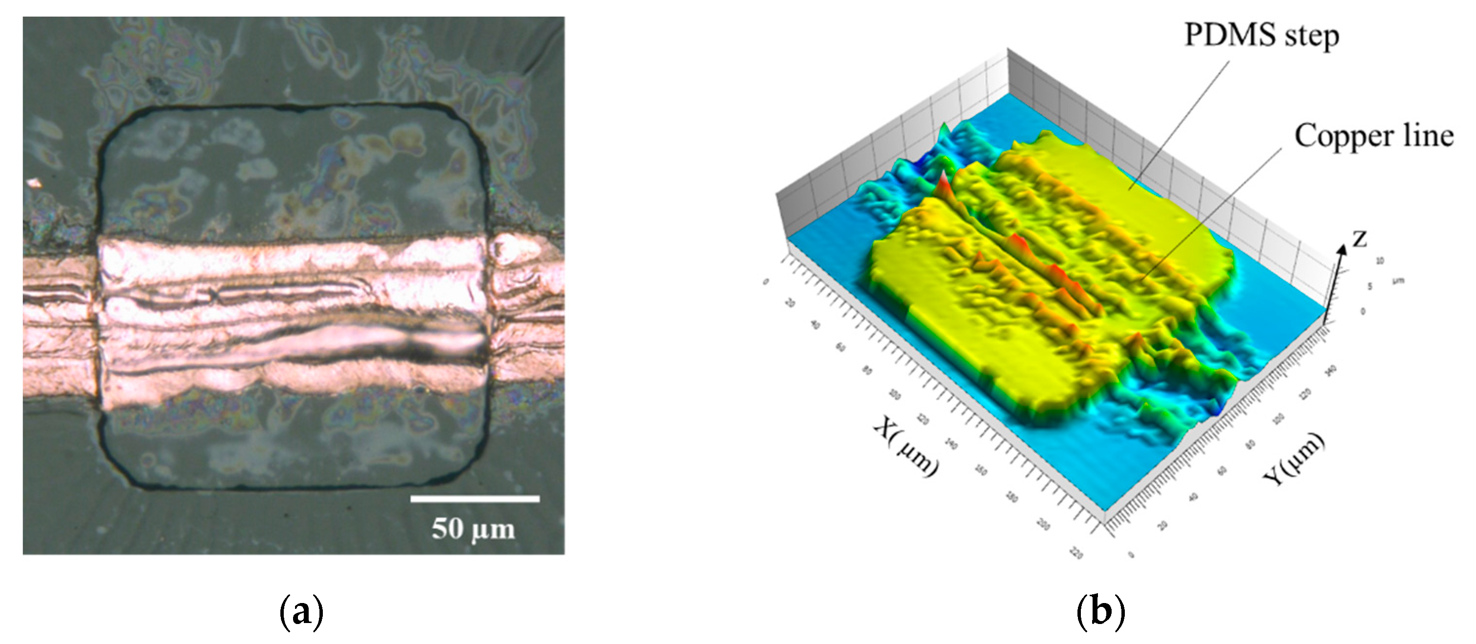 Micromachines 12 00493 g007