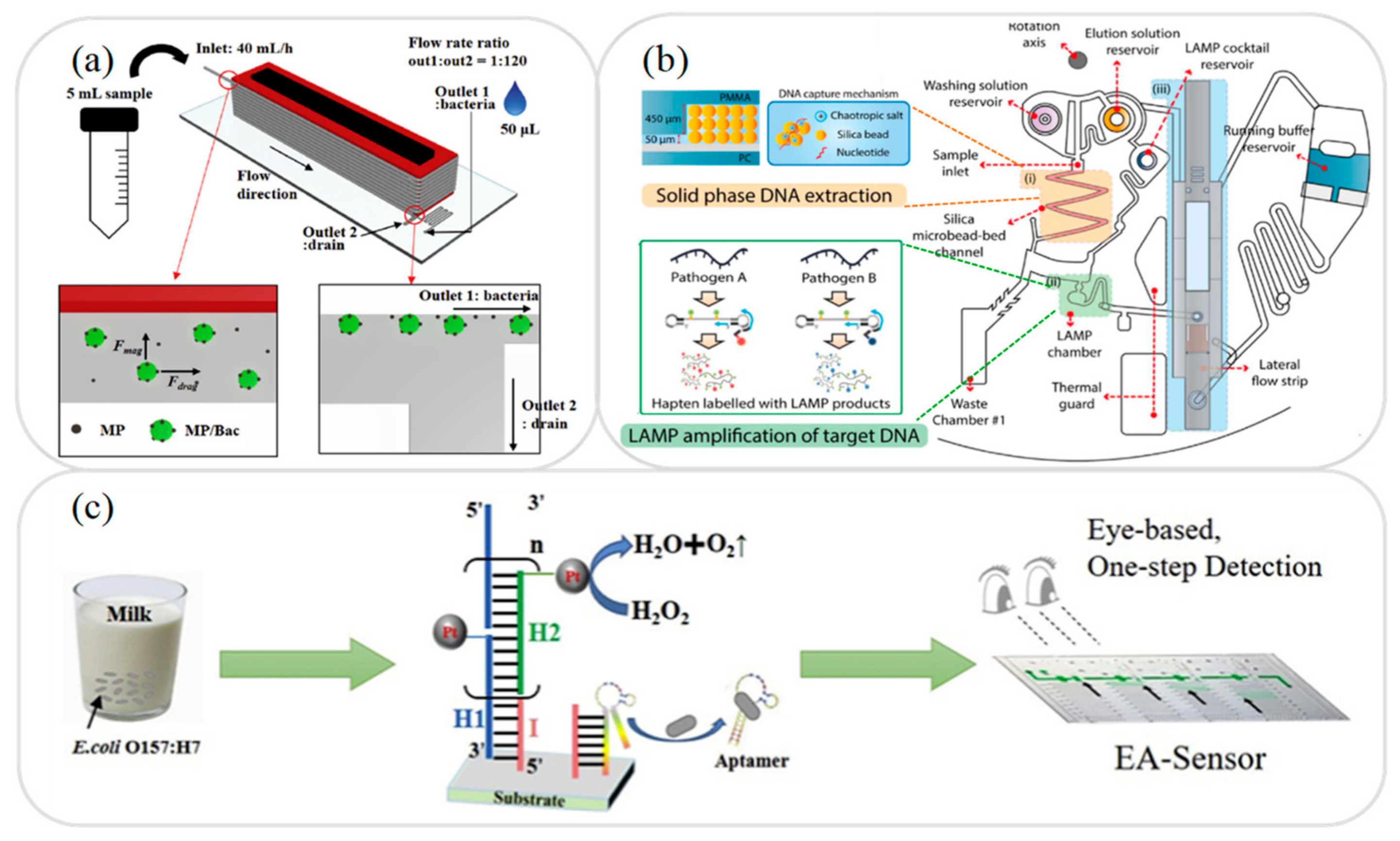 Micromachines | Free Full-Text | Recent Advances in Microfluidic Devices  for Contamination Detection and Quality Inspection of Milk