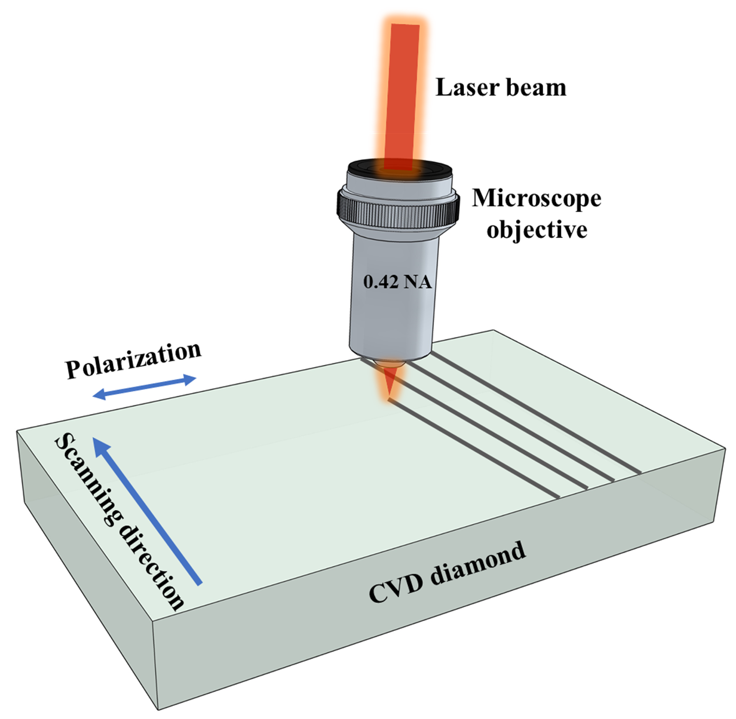 Micromachines | Free Full-Text | Morphological Study of Nanostructures  Induced by Direct Femtosecond Laser Ablation on Diamond