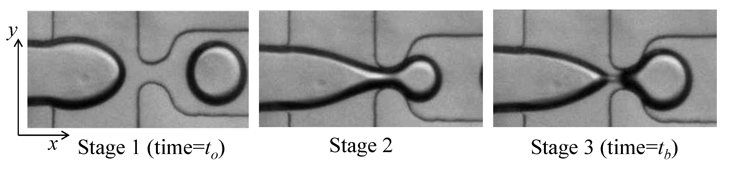 Micromachines 12 00590 g002 Micromachines 12 00590 g002