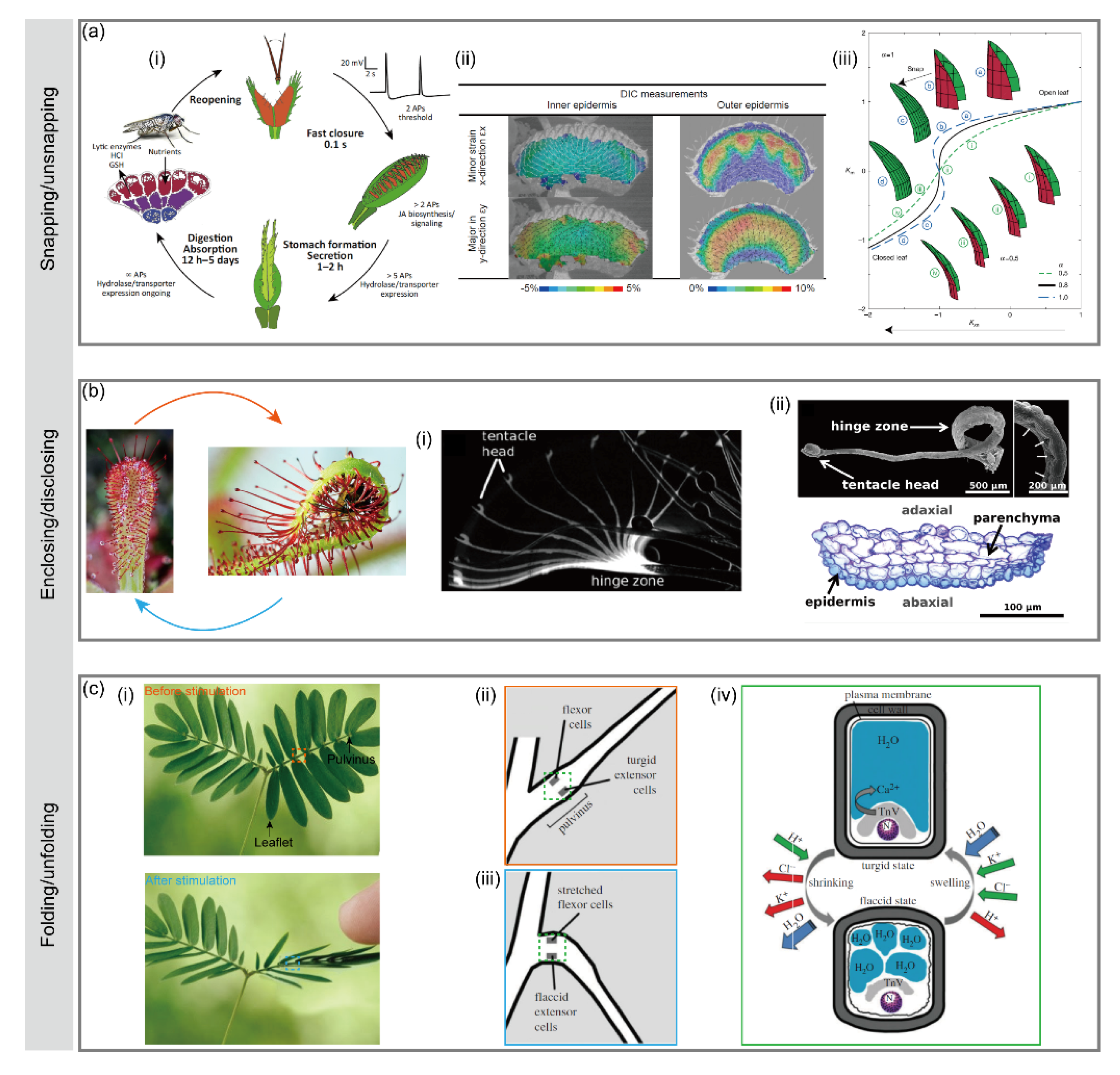Micromachines 12 00608 g003 Micromachines 12 00608 g003