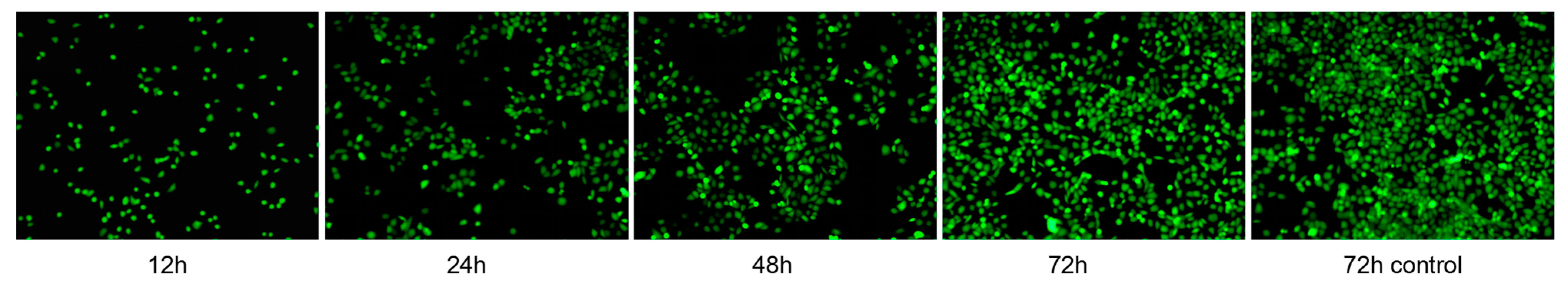 Micromachines 12 00618 g011 Micromachines 12 00618 g011