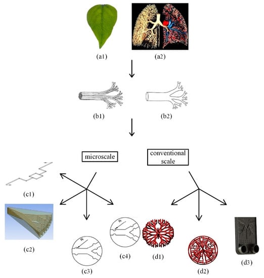 Nature–Inspired self–cleaning surfaces: Mechanisms, modelling, and