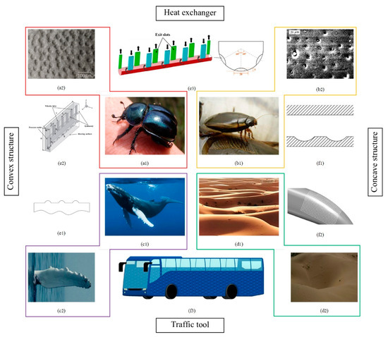 Nature–Inspired self–cleaning surfaces: Mechanisms, modelling, and