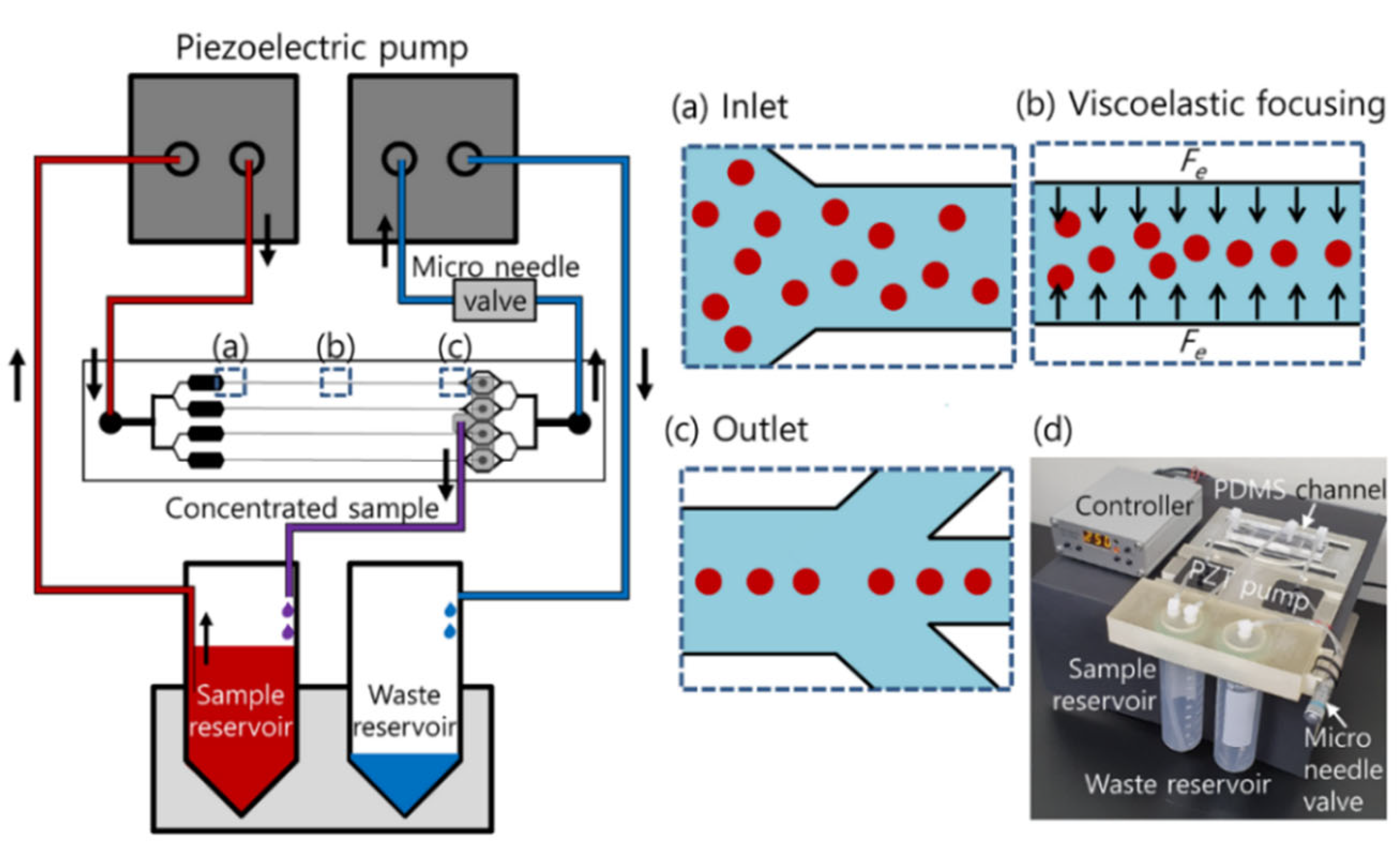 Micromachines | Free Full-Text | High-Throughput Cell Concentration Using A  Piezoelectric Pump in Closed-Loop Viscoelastic Microfluidics