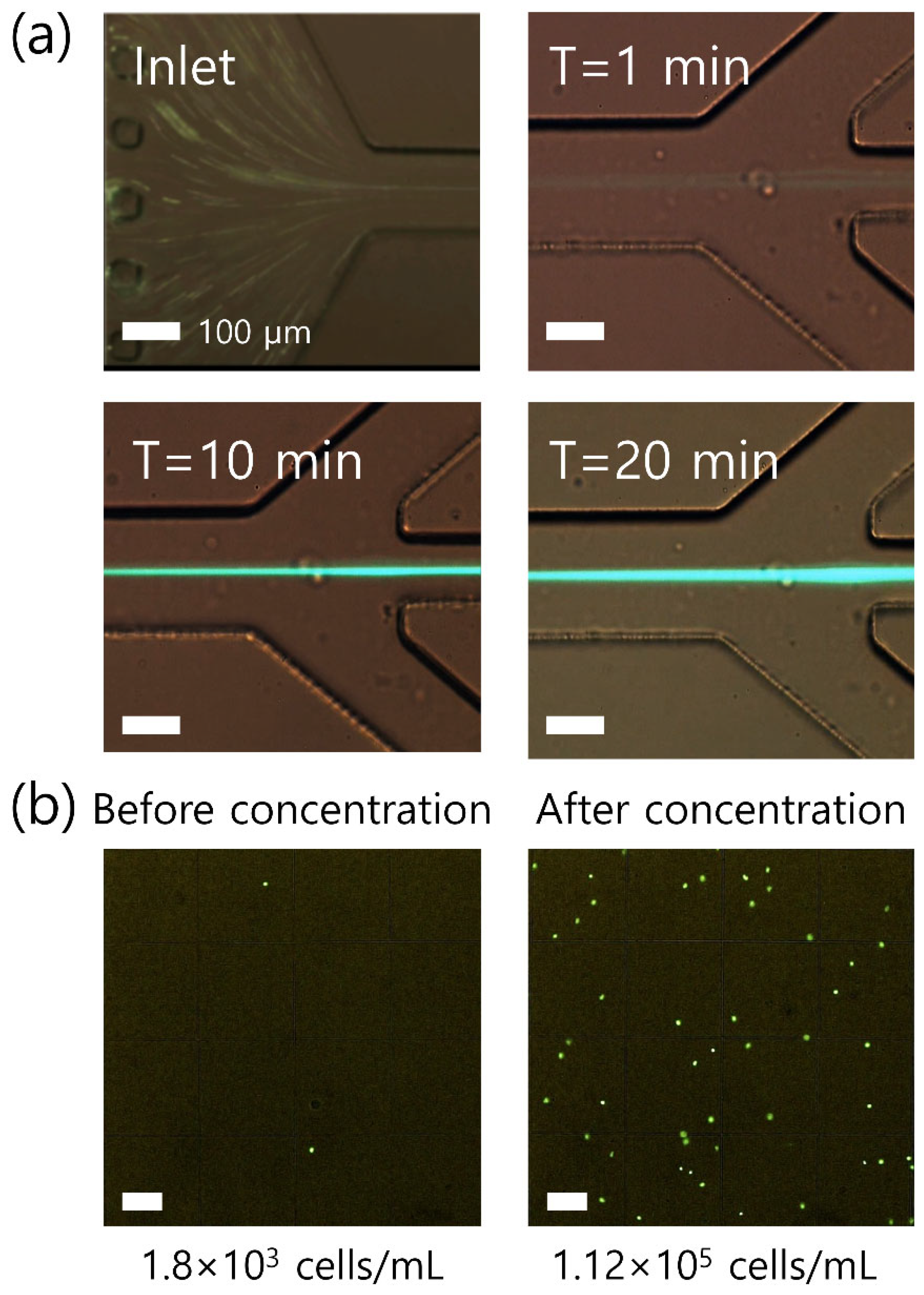 Micromachines 12 00677 g005