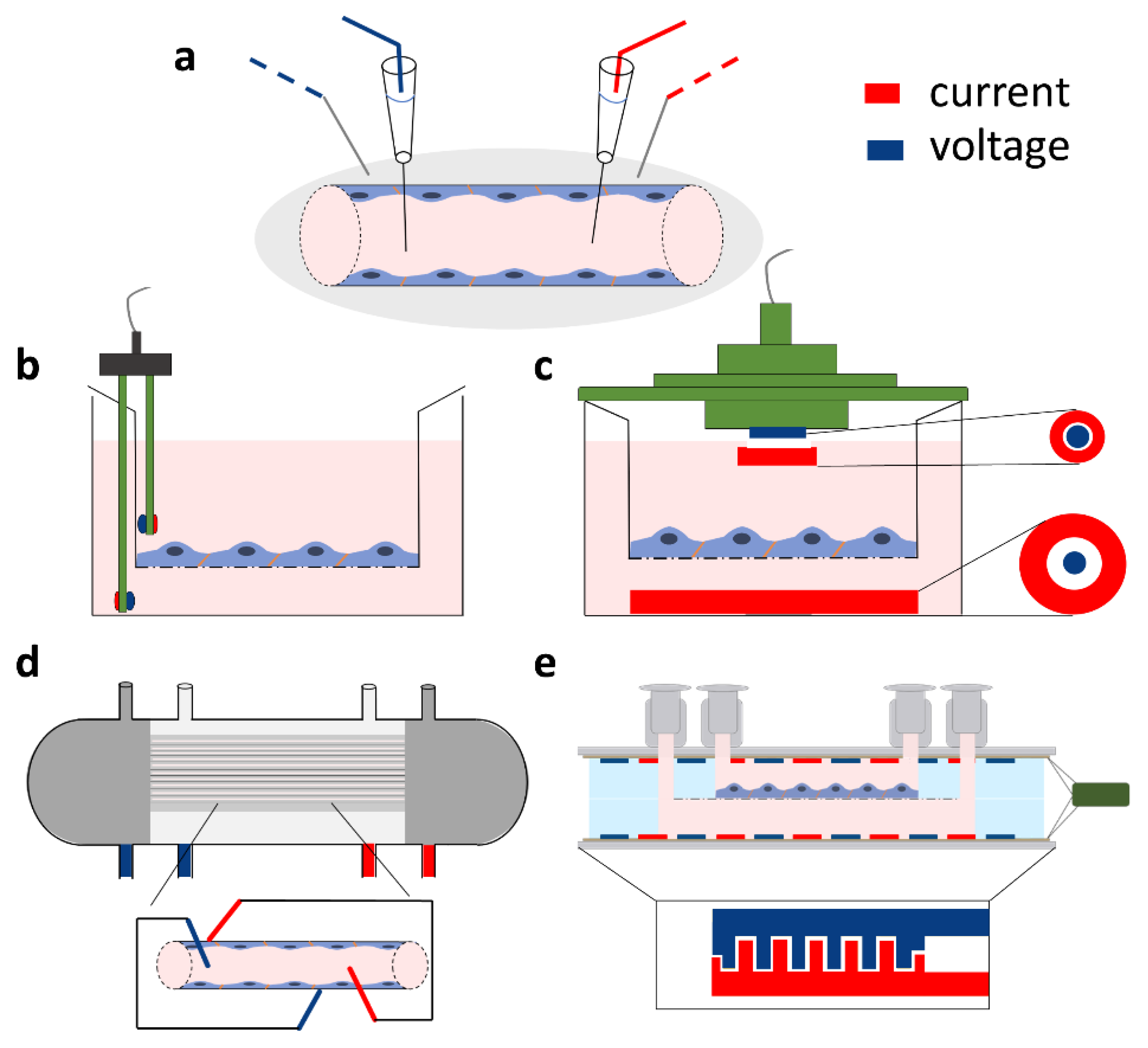 Micromachines | Free Full-Text | Transendothelial Electrical Resistance  Measurement across the Blood–Brain Barrier: A Critical Review of Methods