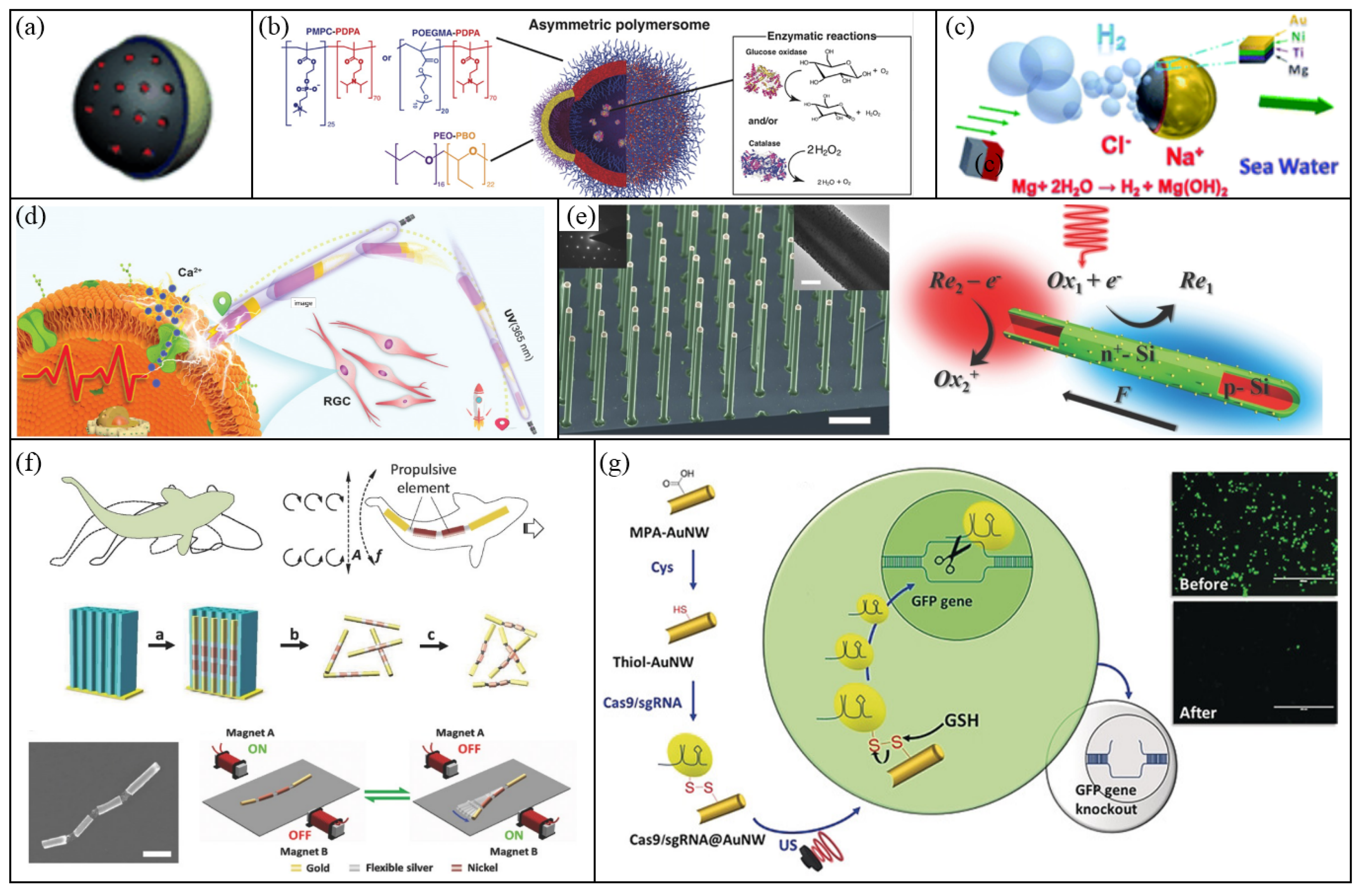 Micromachines 12 00687 g002
