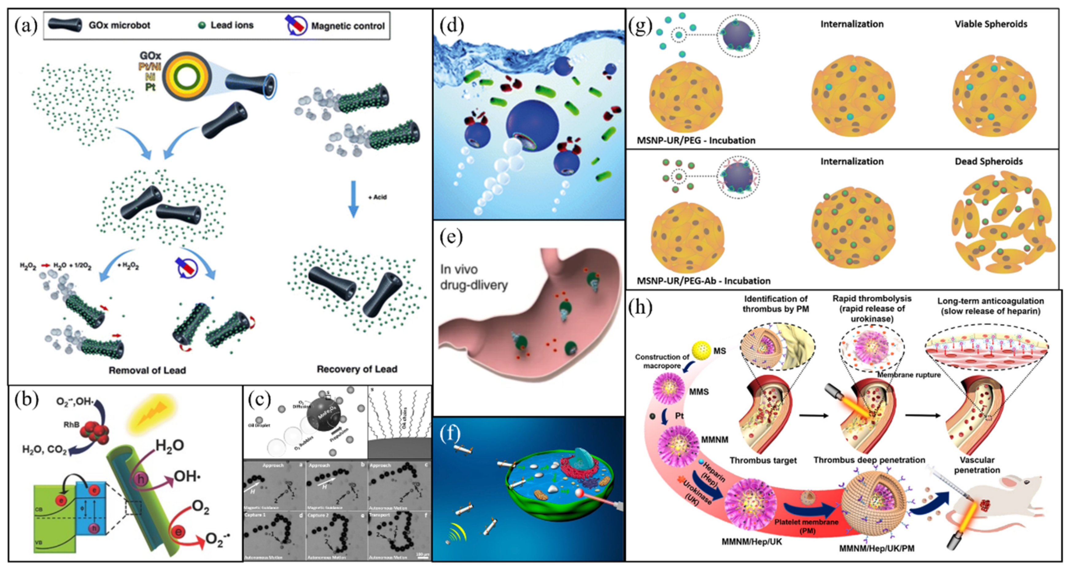 Micromachines 12 00687 g004