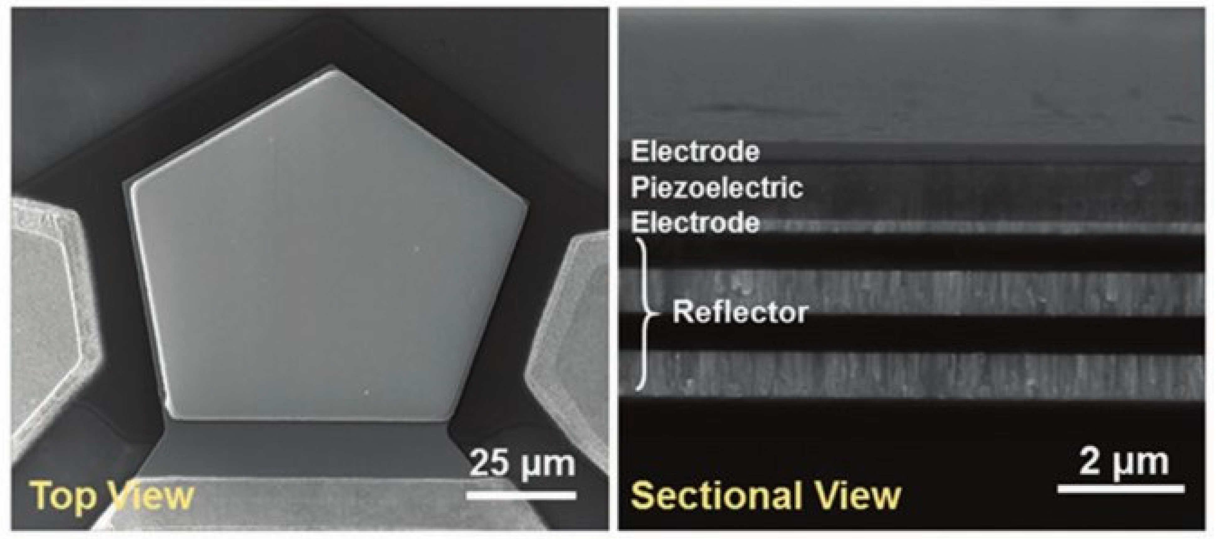 Micromachines 12 00724 g012