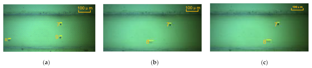 Micromachines 12 00748 g005