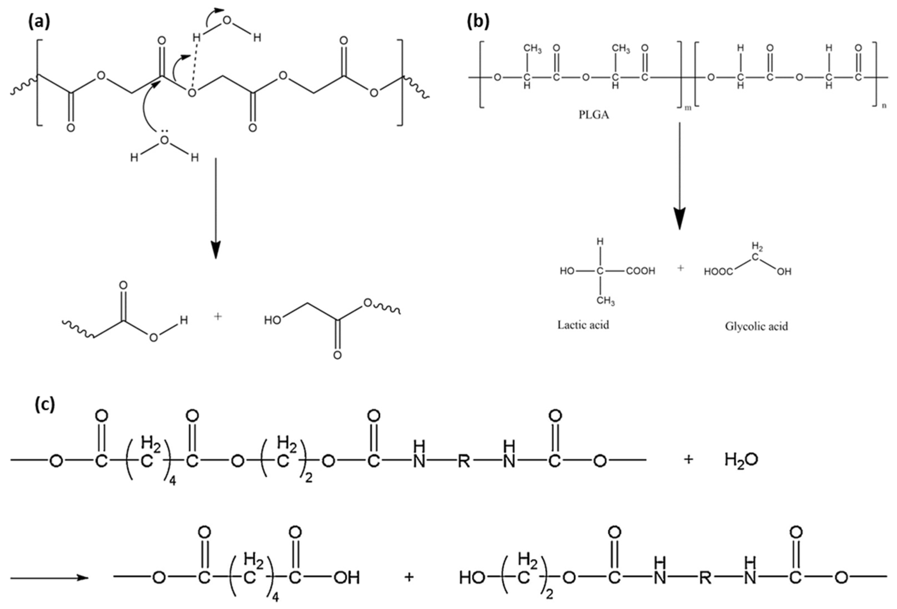 Micromachines 12 00757 g003