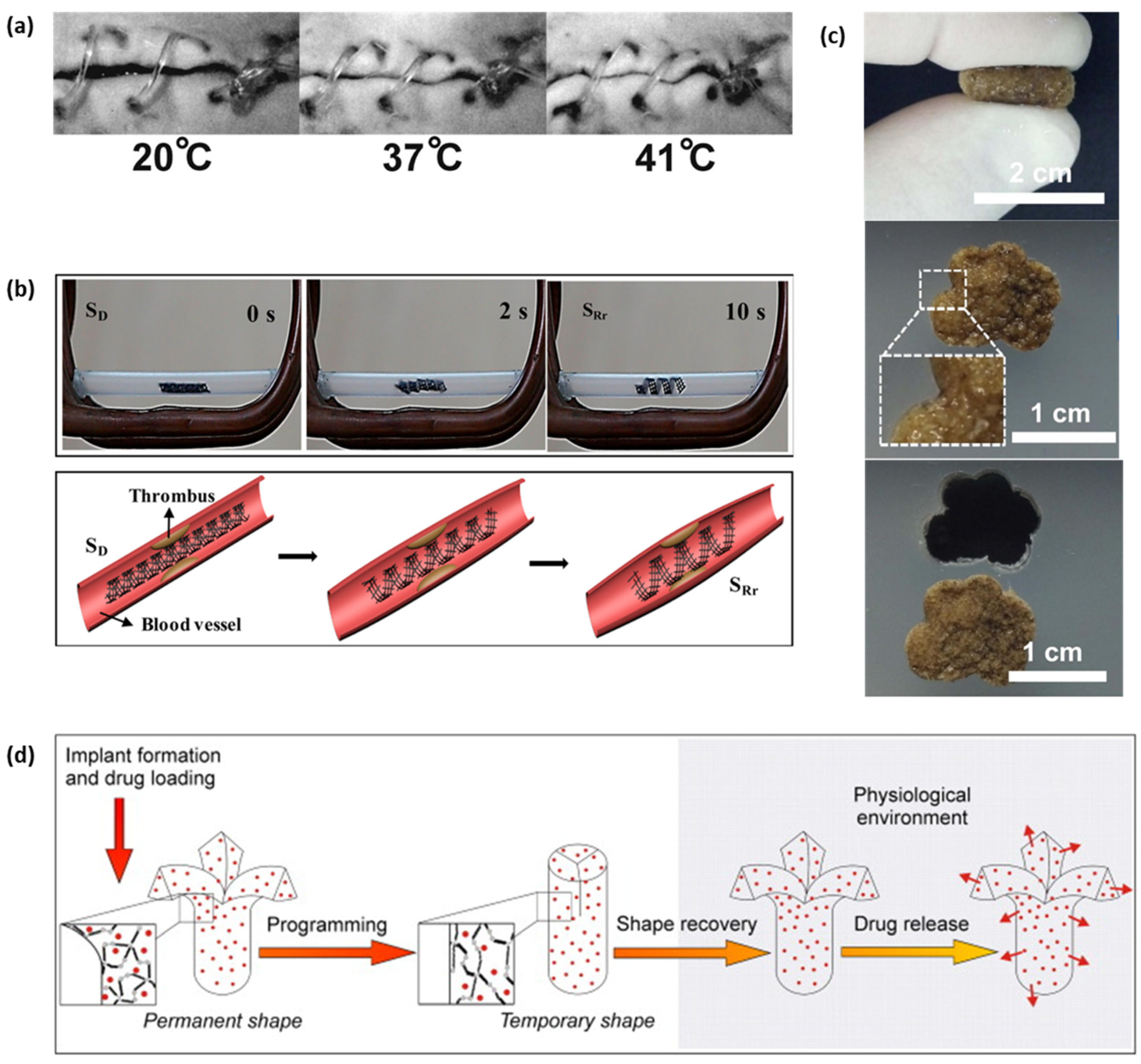 Micromachines 12 00757 g006