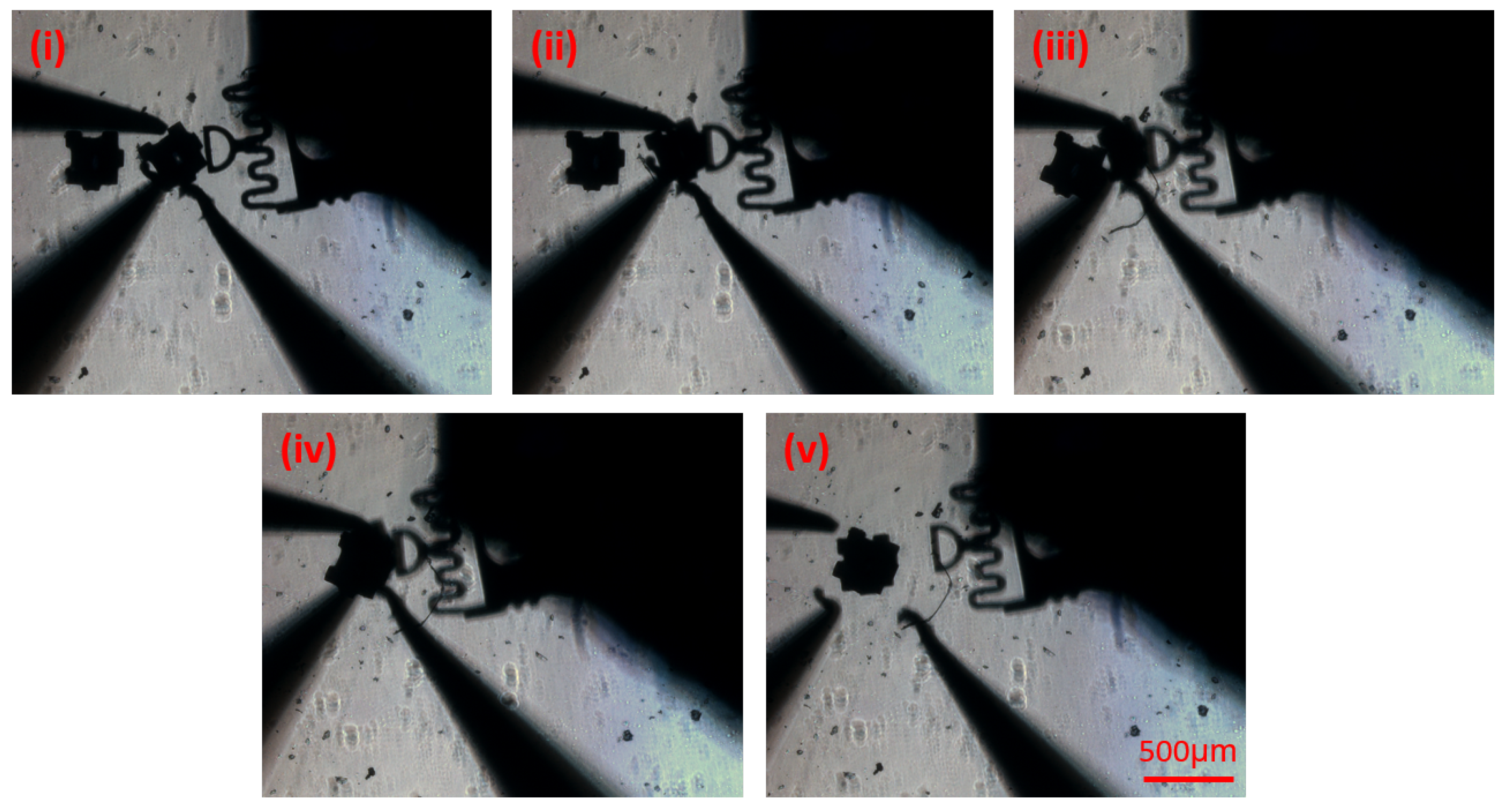 Micromachines 12 00784 g008