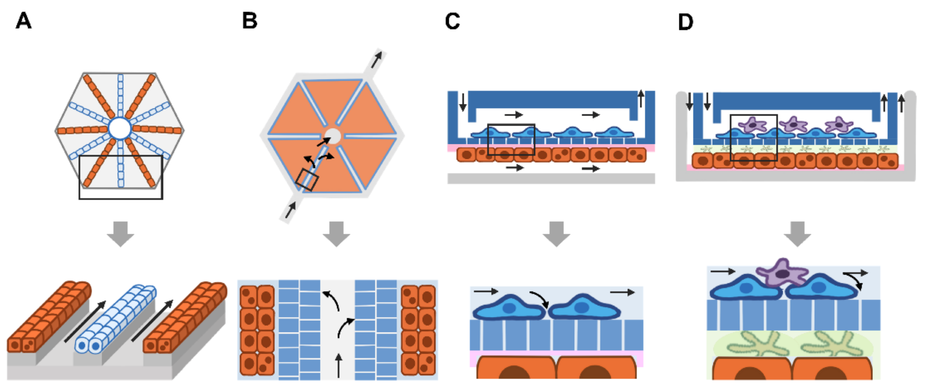 https://www.mdpi.com/micromachines/micromachines-12-00842/article_deploy/html/images/micromachines-12-00842-g004.png