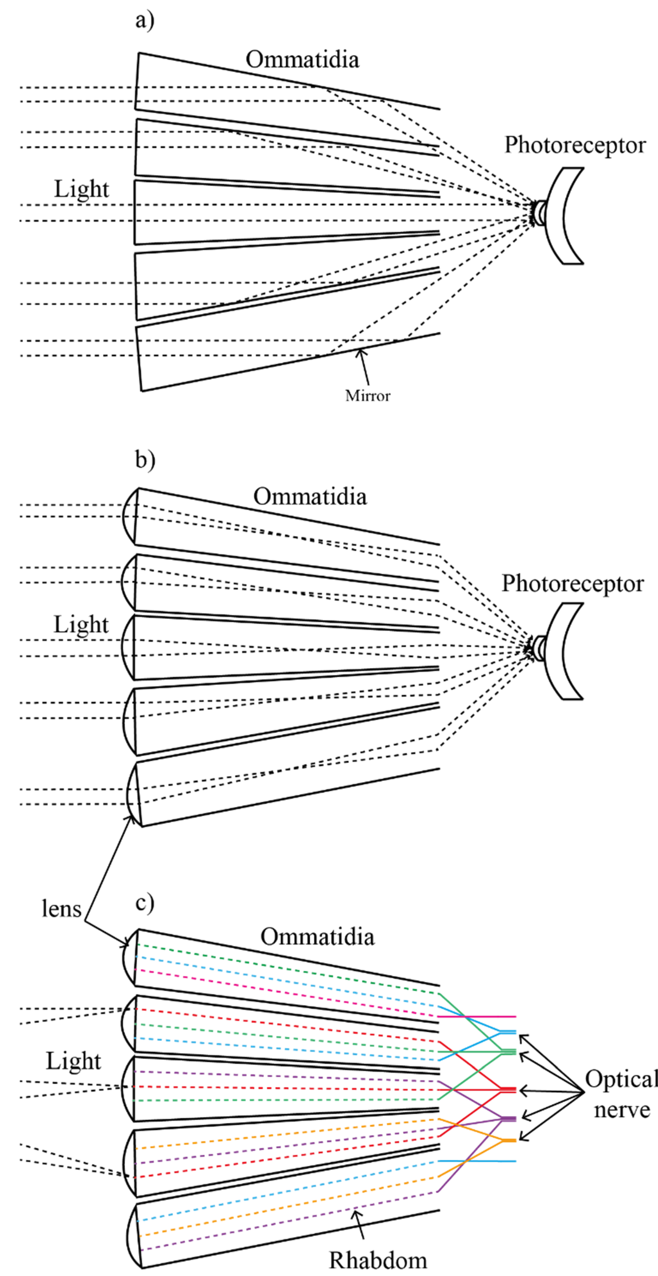 Micromachines 12 00847 g002