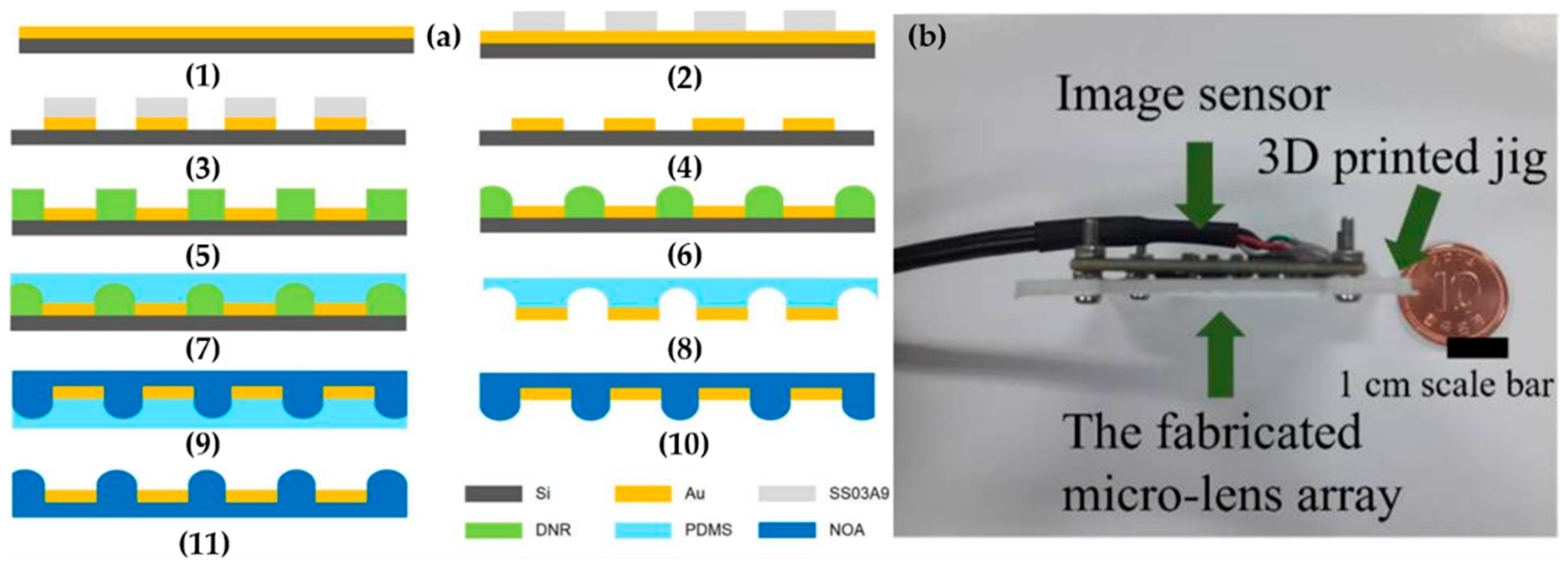 Micromachines 12 00847 g008