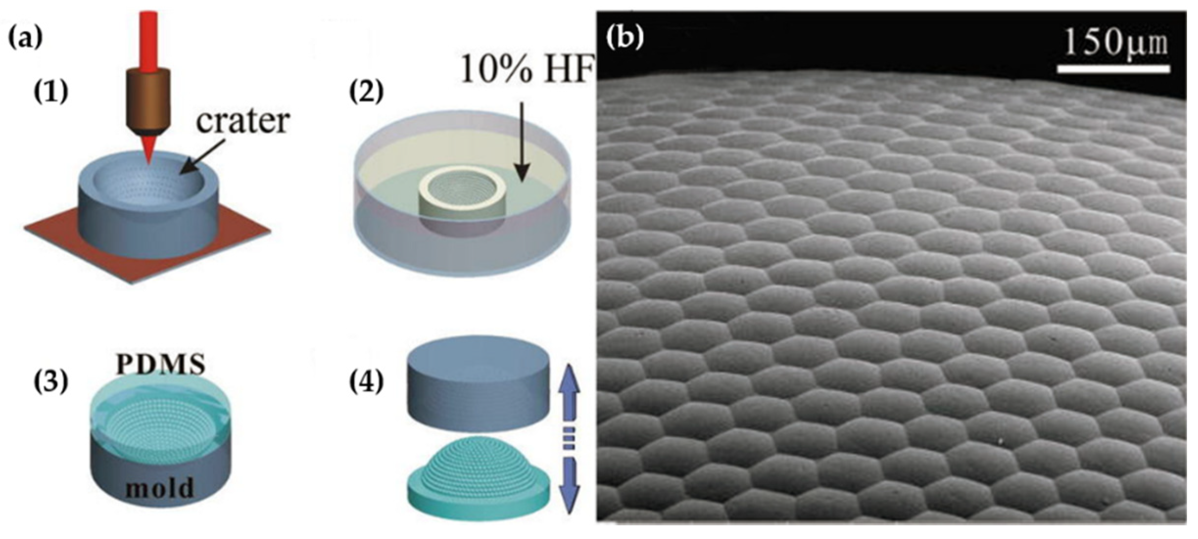 Micromachines 12 00847 g011