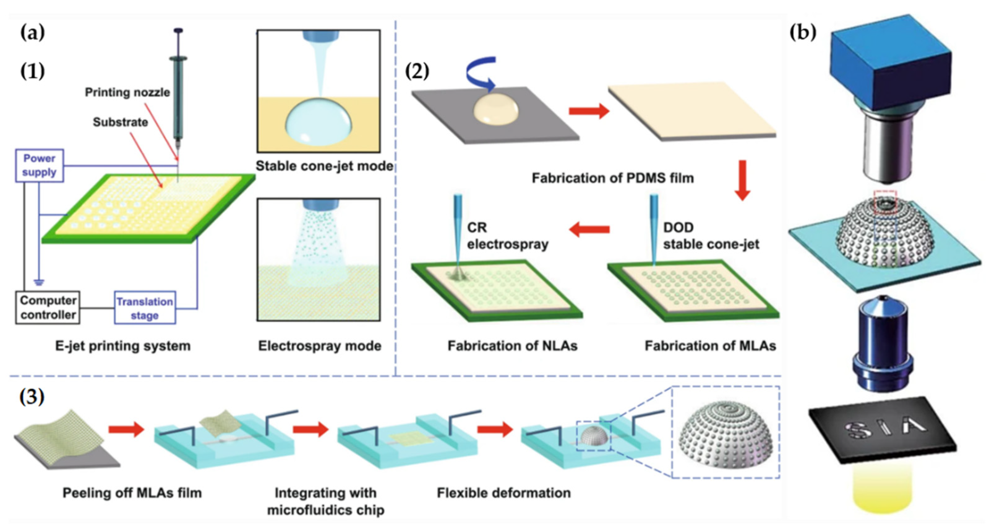 Micromachines 12 00847 g012