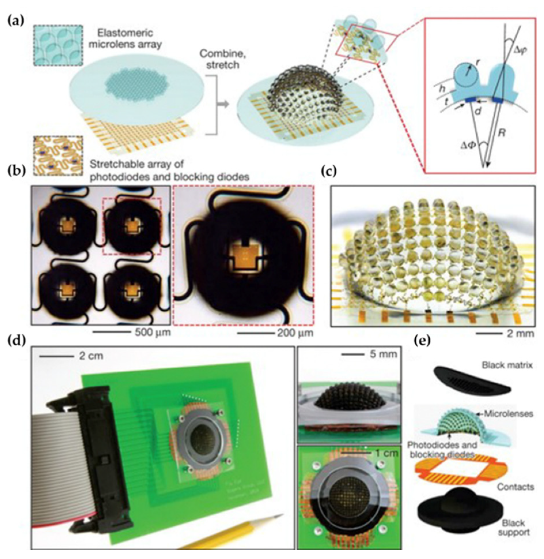 Micromachines 12 00847 g016