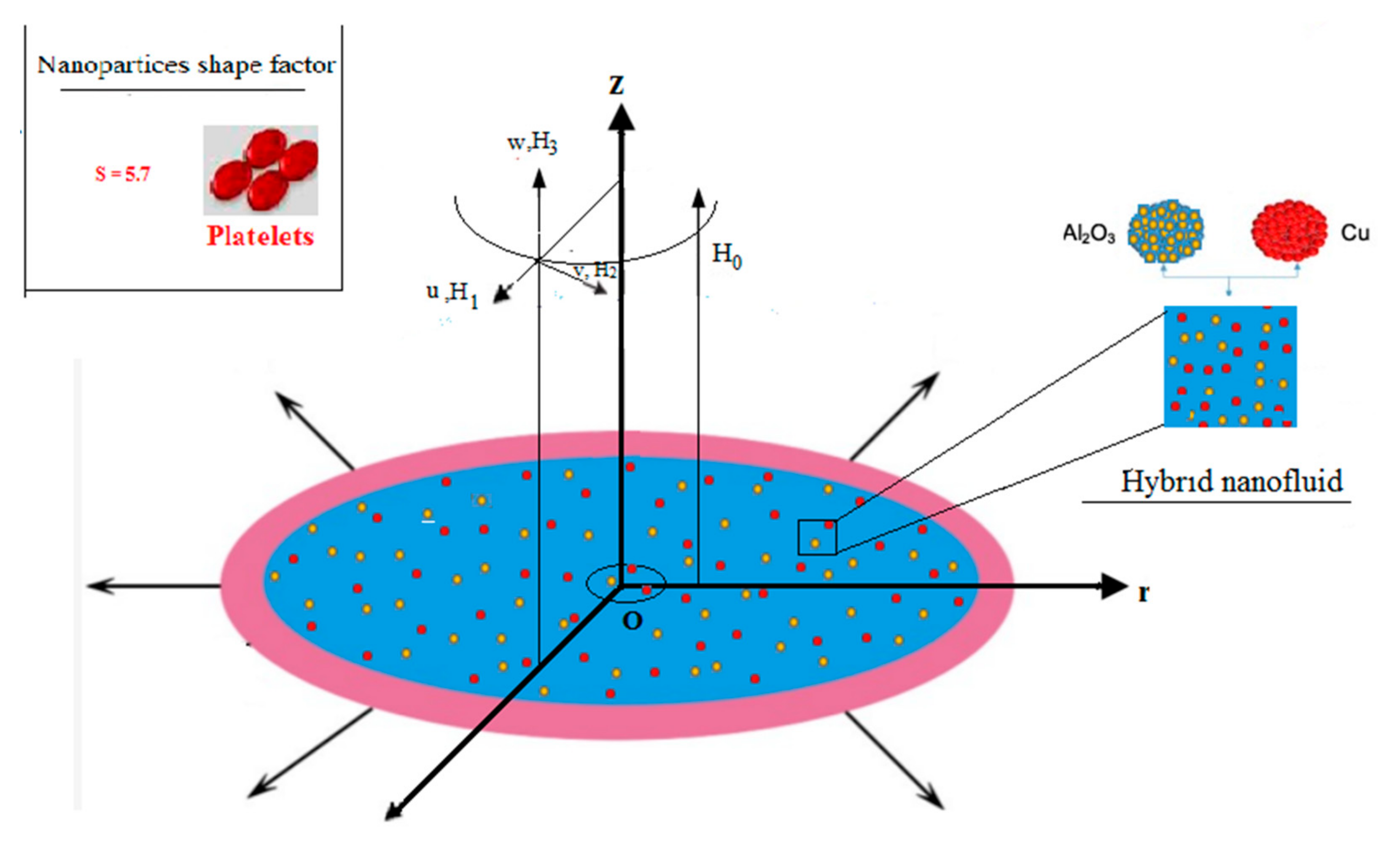 Micromachines 12 00887 g002