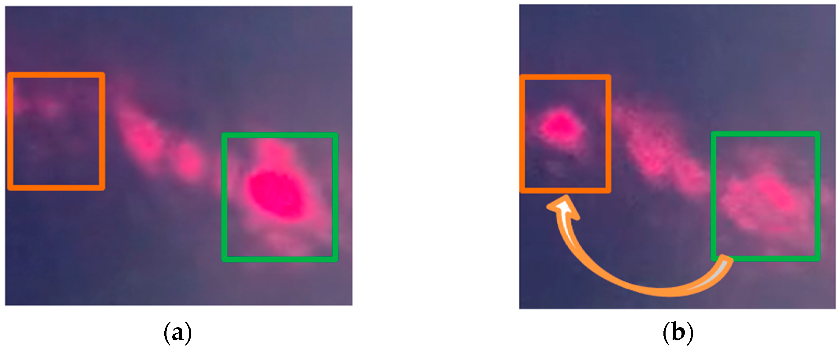 Micromachines 12 00891 g009