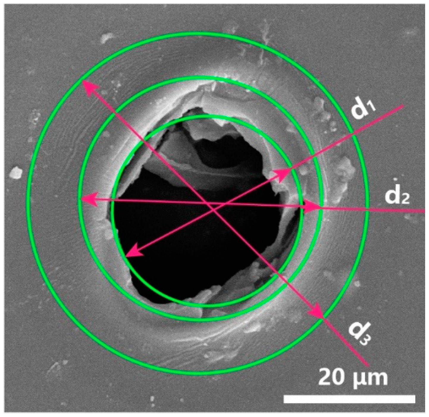 Micromachines 12 00908 g002