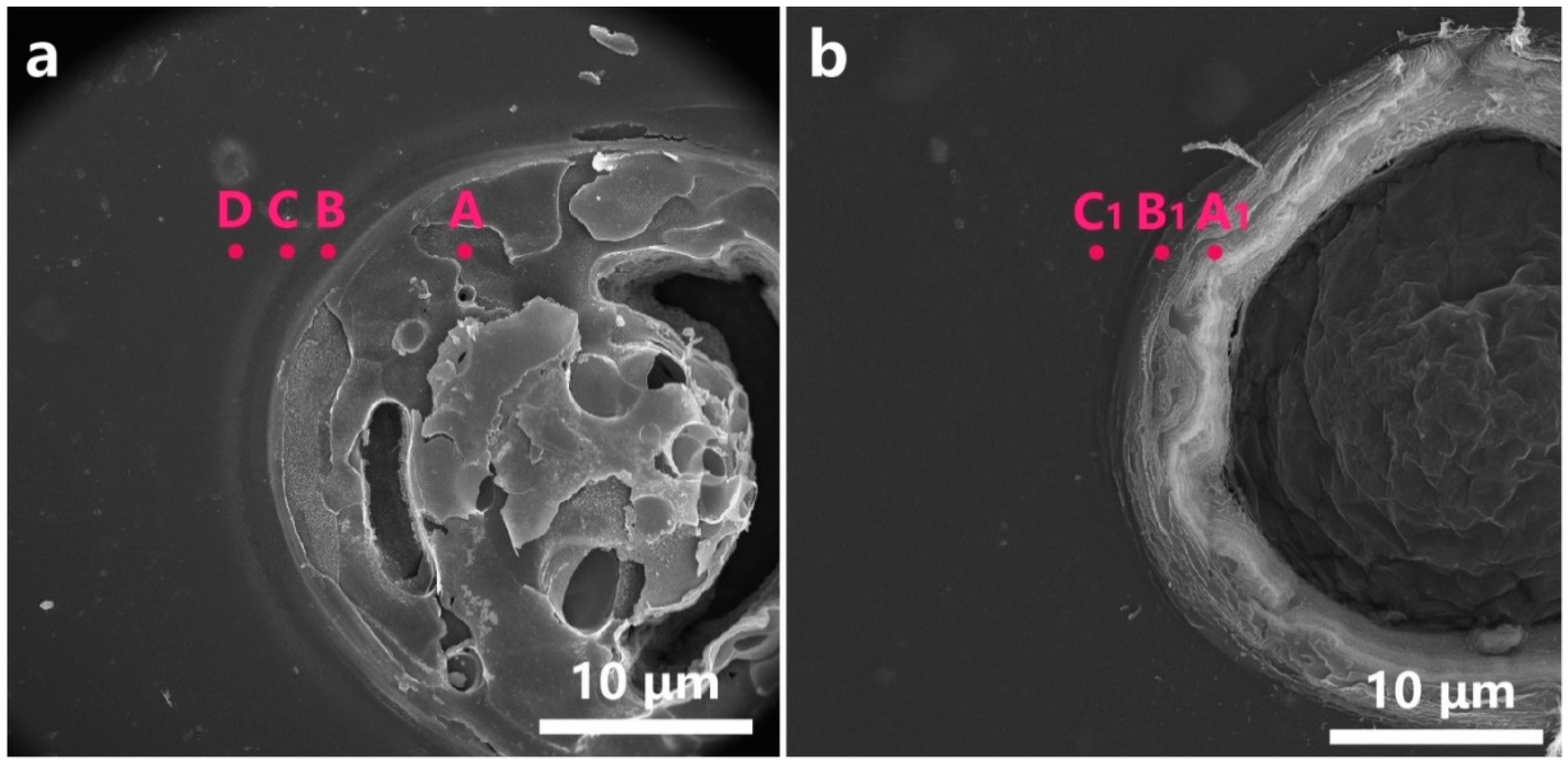 Micromachines 12 00908 g007