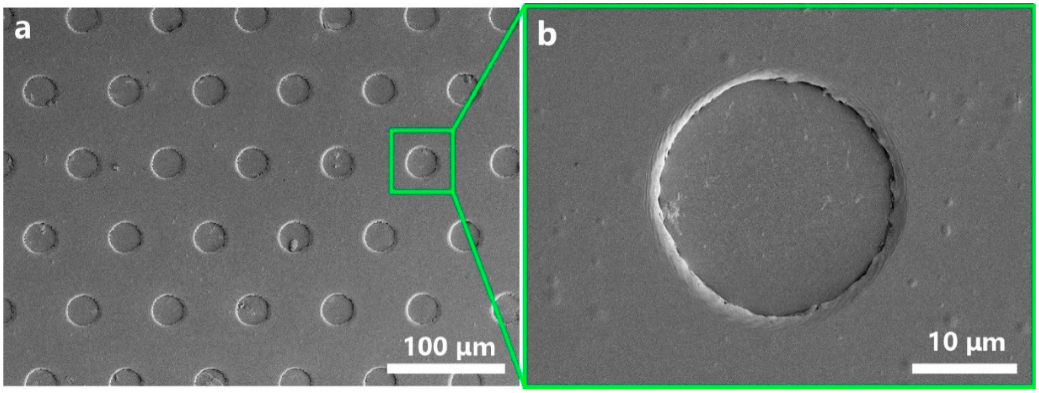 Micromachines 12 00908 g010