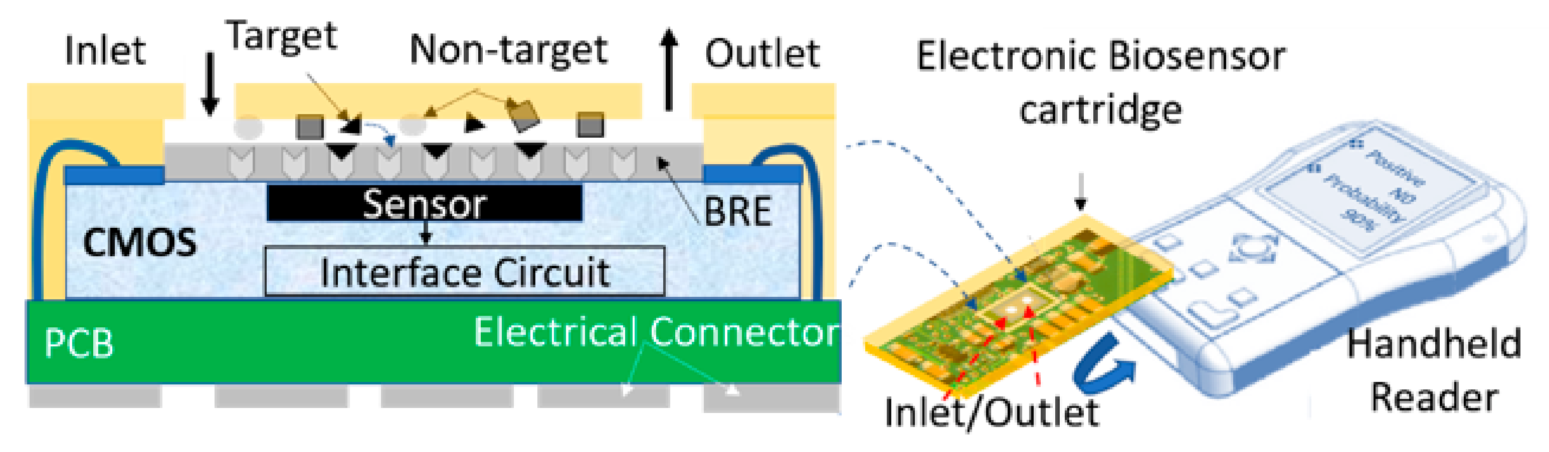 Hydrogen Biosensing: Prospects, Parallels, and Challenges