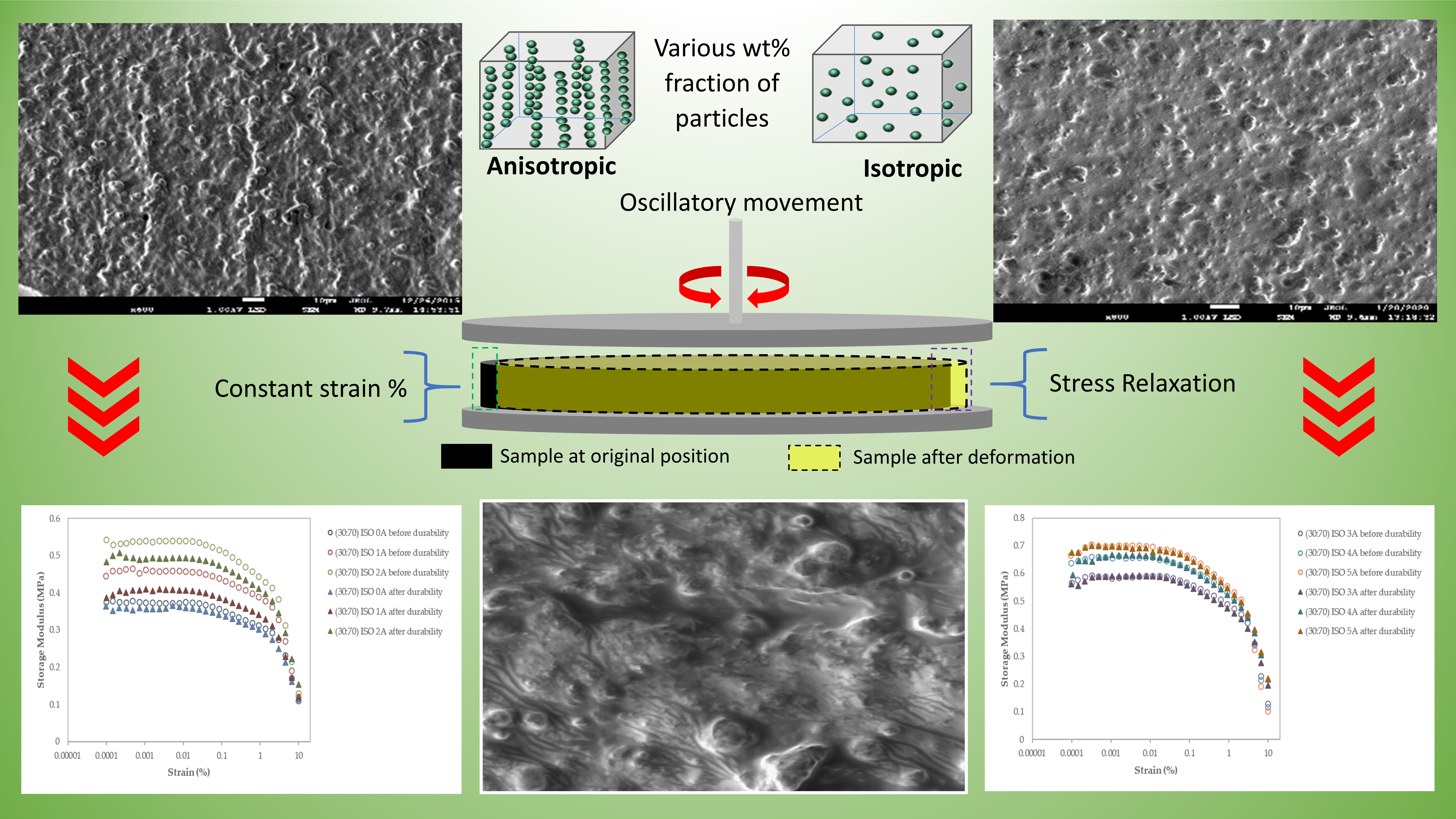 Micromachines Free Full Text The Effect Of Microparticles On The Storage Modulus And Durability Behavior Of Magnetorheological Elastomer Html