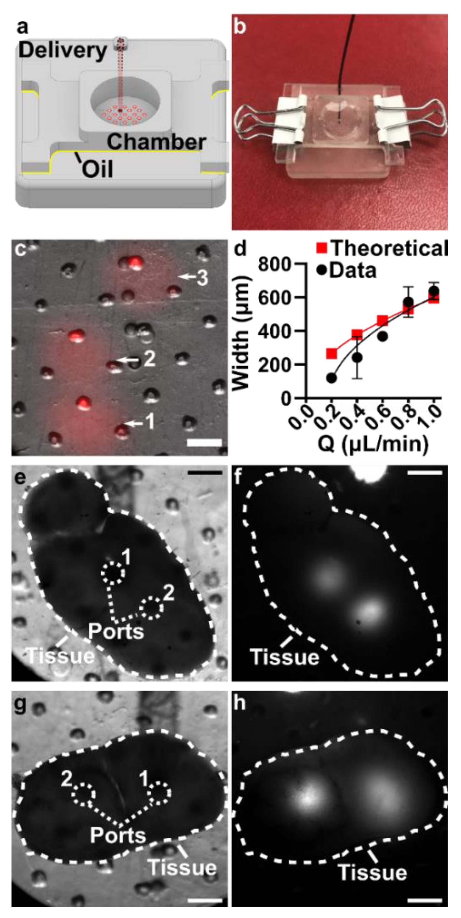 Micromachines 12 00993 g005
