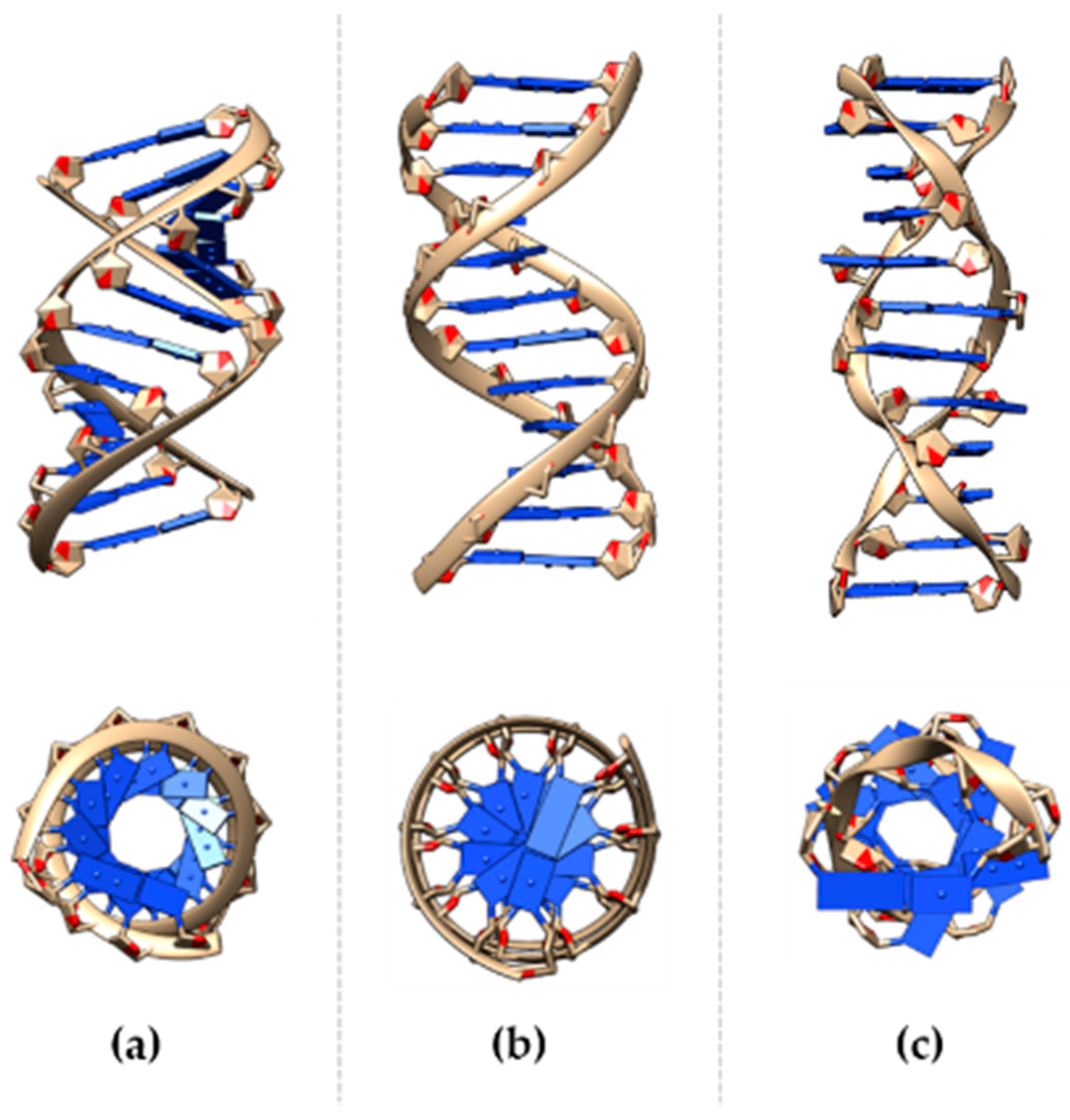 Micromachines | Free Full-Text | DNA Studies: Latest Spectroscopic and  Structural Approaches | HTML