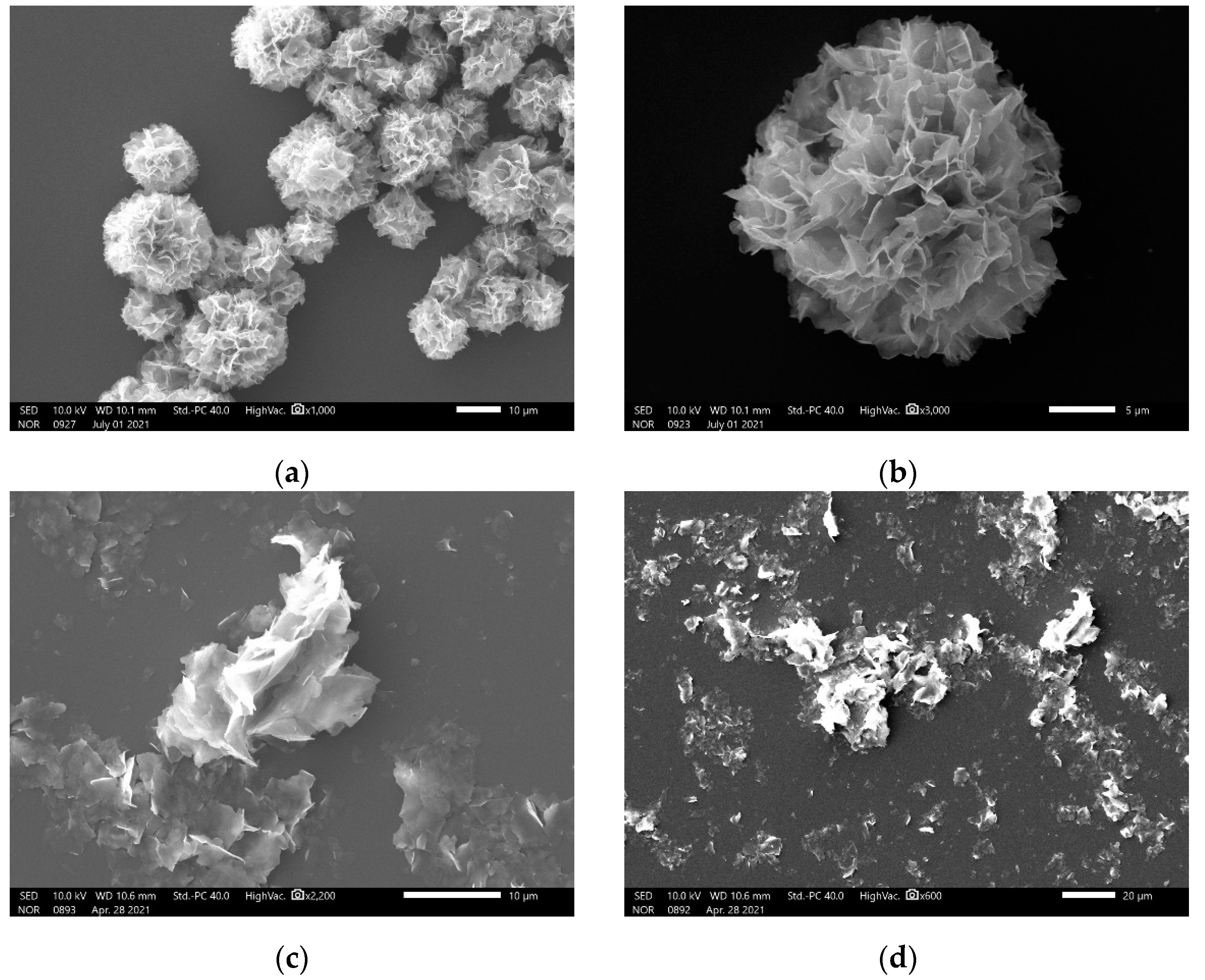 Micromachines Free Full Text The Fabrication Of Amino Acid Incorporated Nanoflowers With Intrinsic Peroxidase Like Activity And Its Application For Efficiently Determining Glutathione With Tmb Radical Cation As Indicator Html