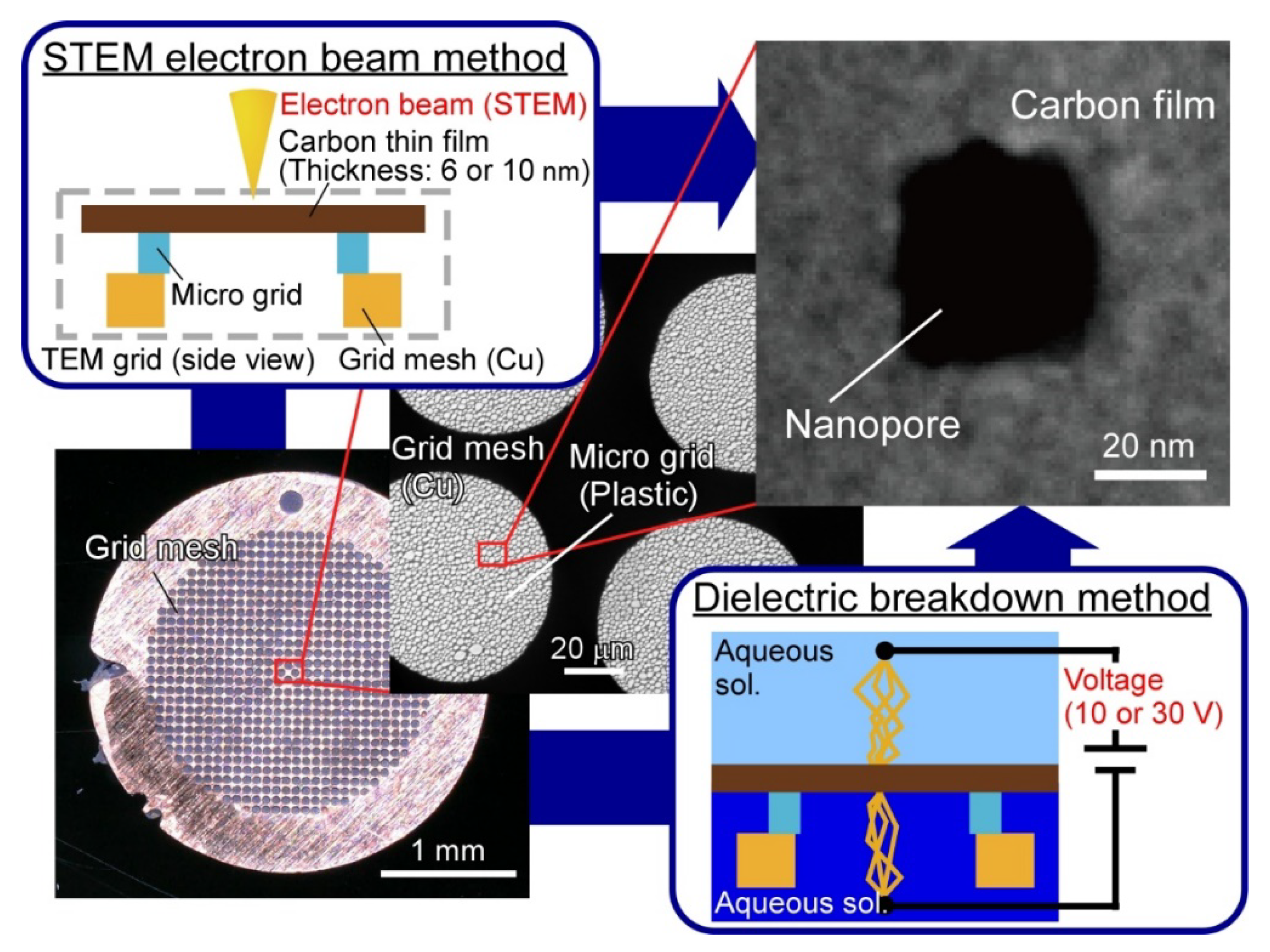 Micromachines 12 01135 g001