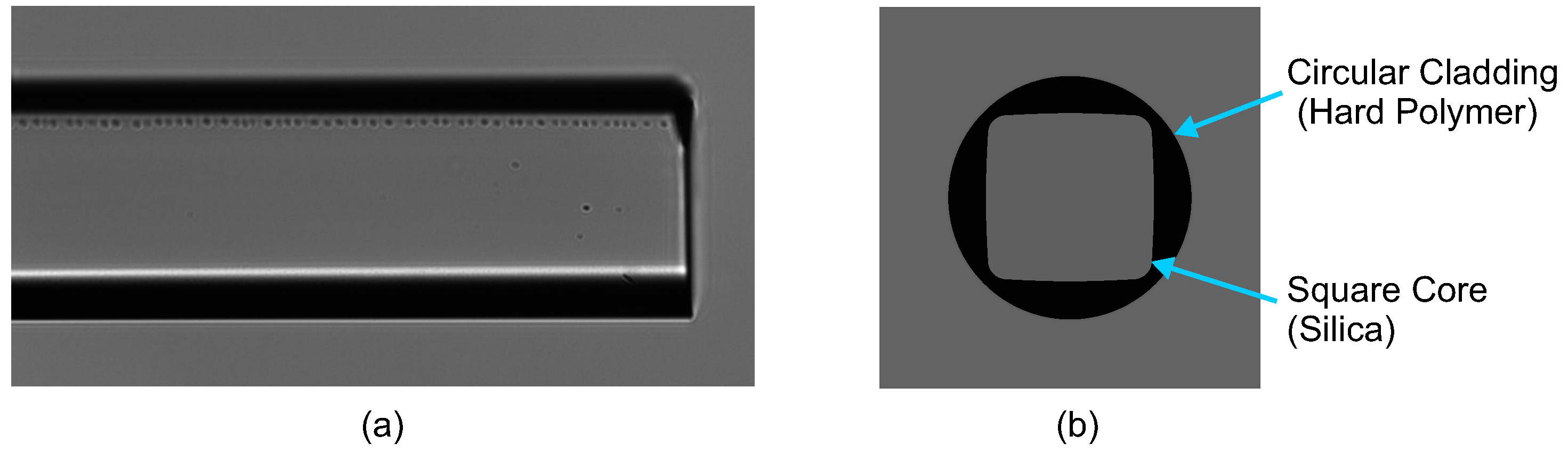 Micromachines 12 01239 g002