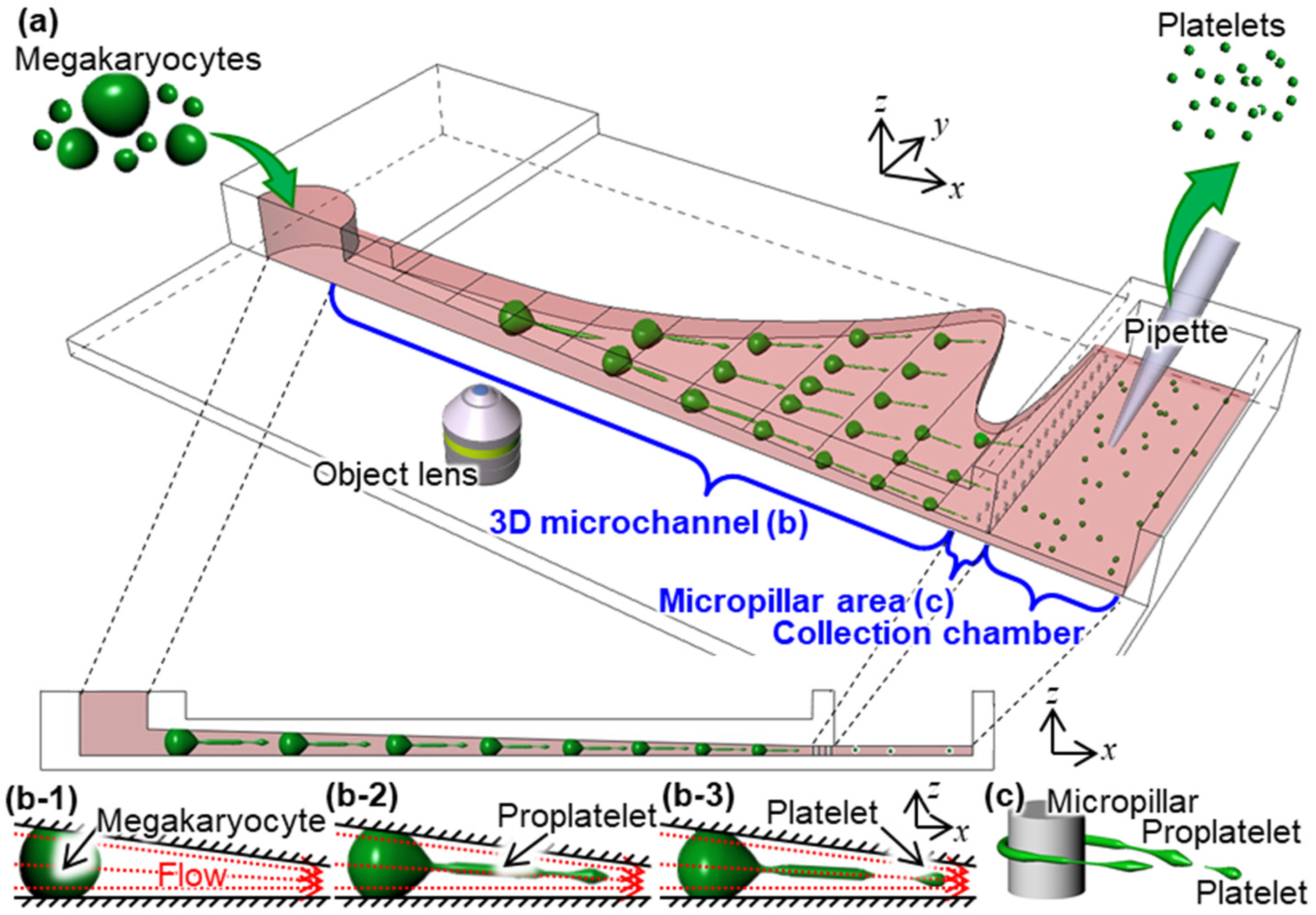 Micromachines 12 01253 g001
