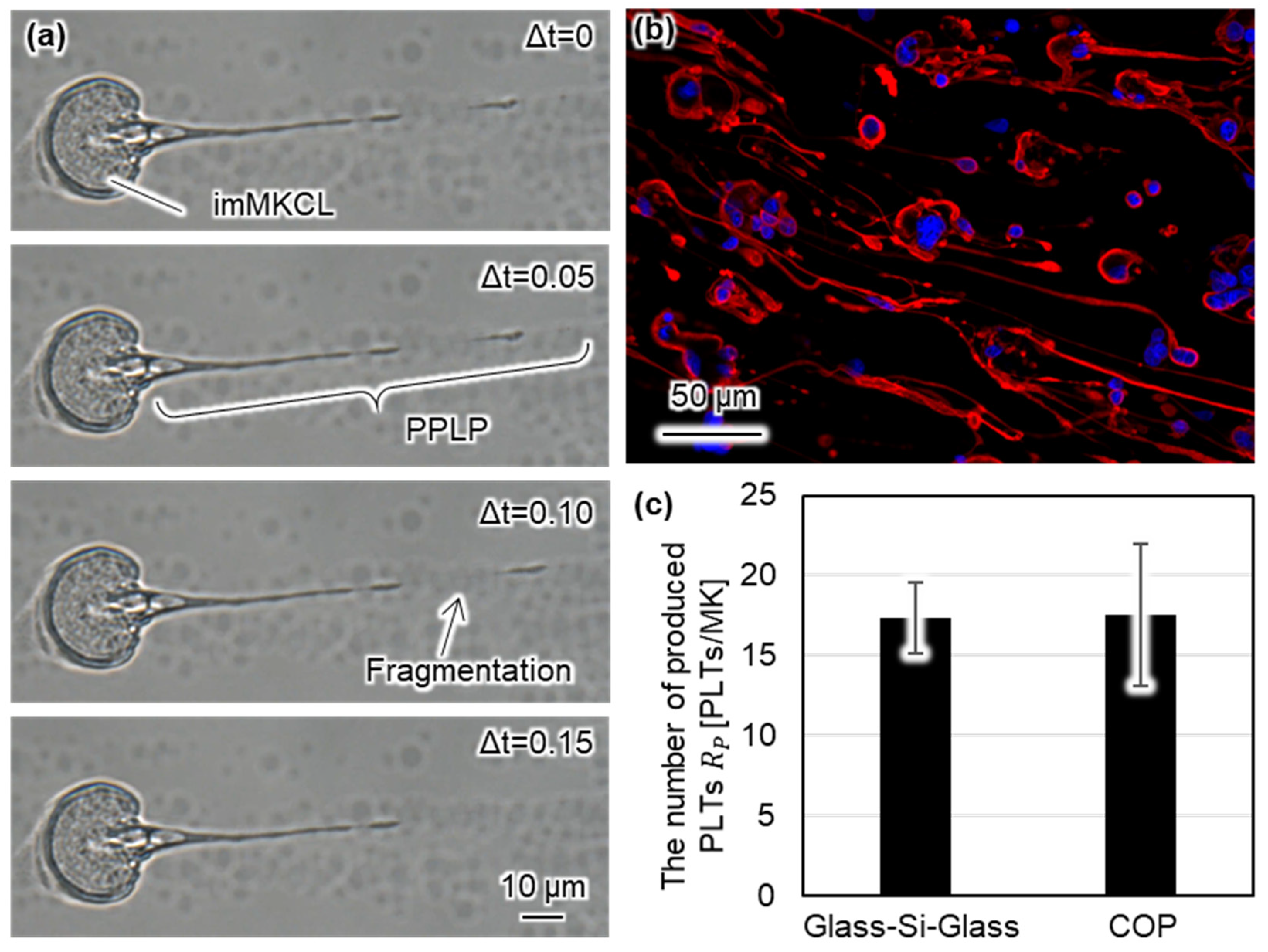 Micromachines 12 01253 g005