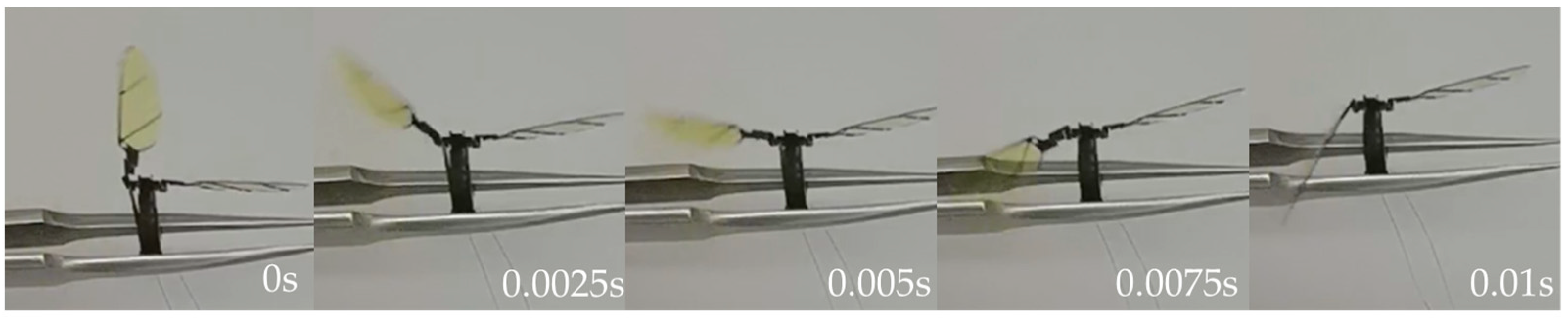 Micromachines 12 01270 g012