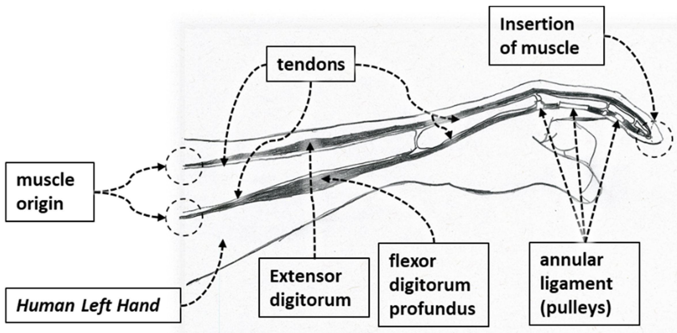 Micromachines 12 01274 g002